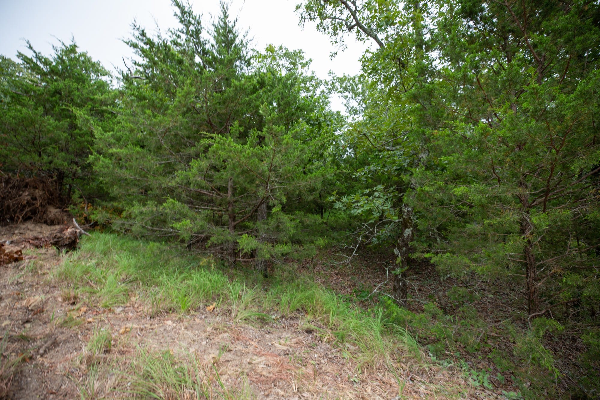 Eagle’s Nest Tract 74 photo 17