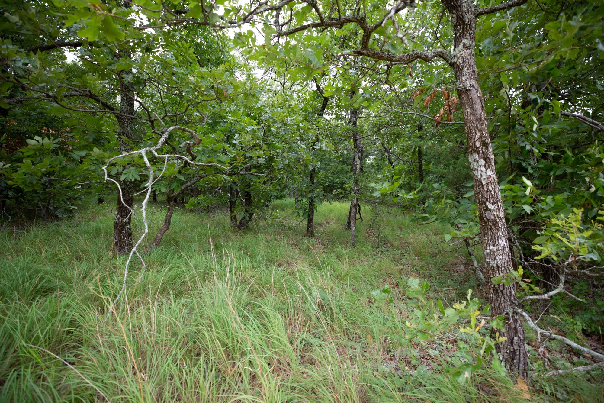 Eagle’s Nest Tract 74 photo 18