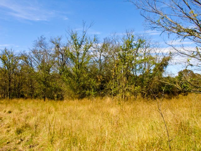 Saddlebrook Ranch Tract 10 photo 3