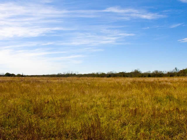 Saddlebrook Ranch Tract 10 photo 5