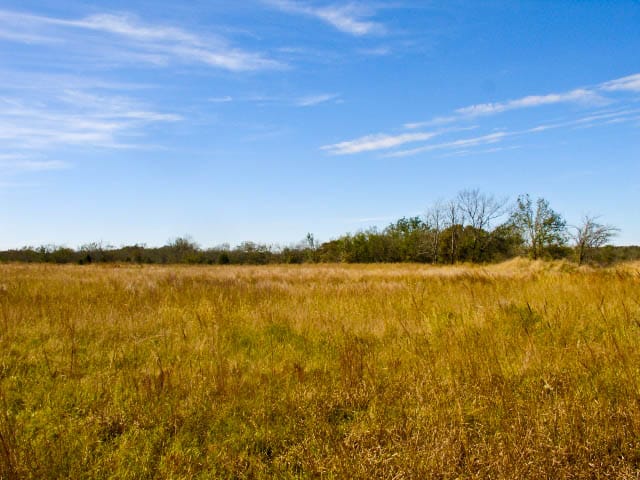 Saddlebrook Ranch Tract 10 photo 6