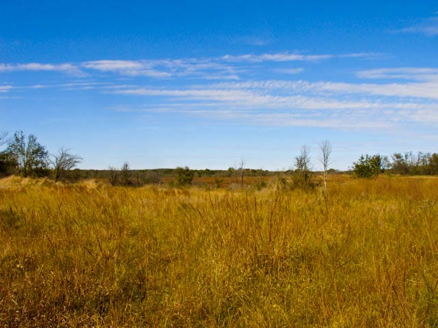 Saddlebrook Ranch Tract 10 photo 7