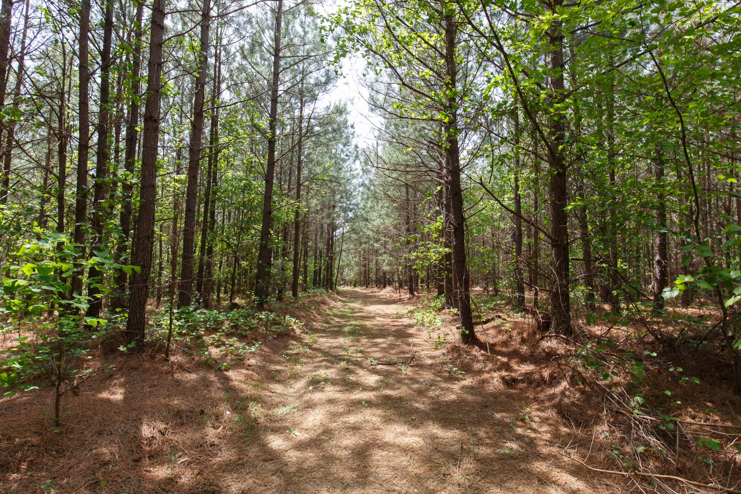 Red Barn Ranch Tract 8 photo 1