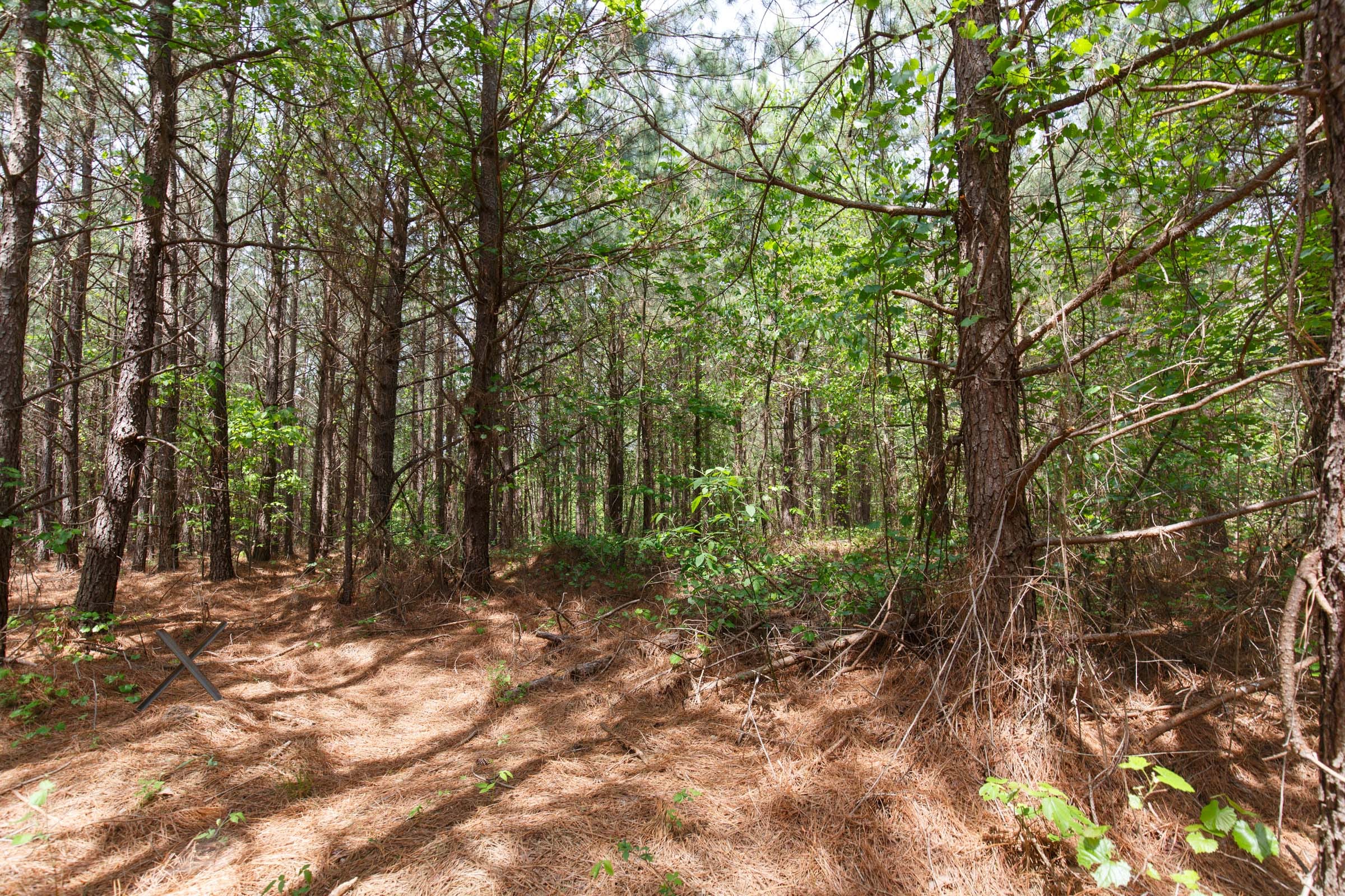 Red Barn Ranch Tract 8 photo 5