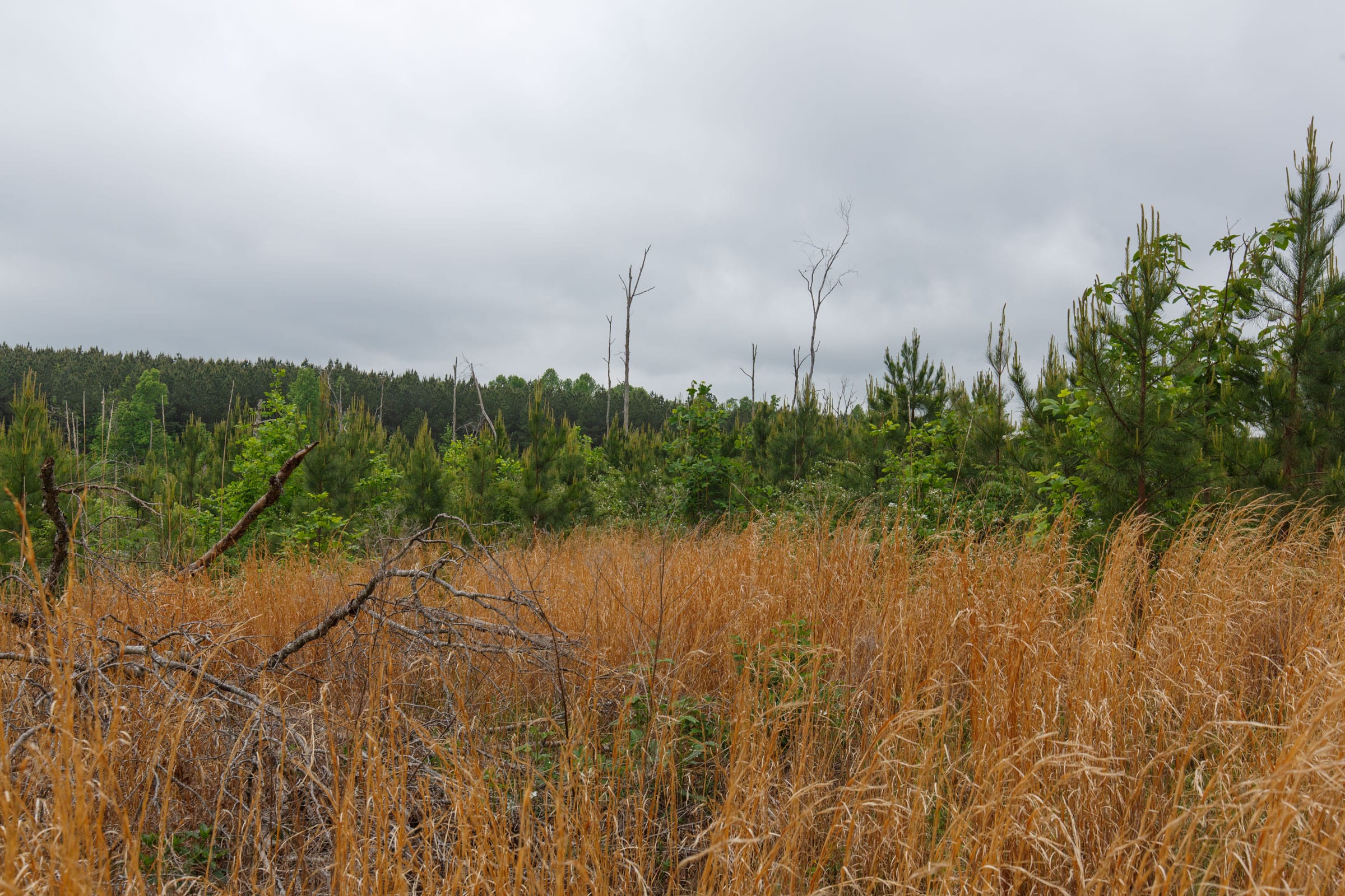 Red Barn Ranch Tract 8 photo 6