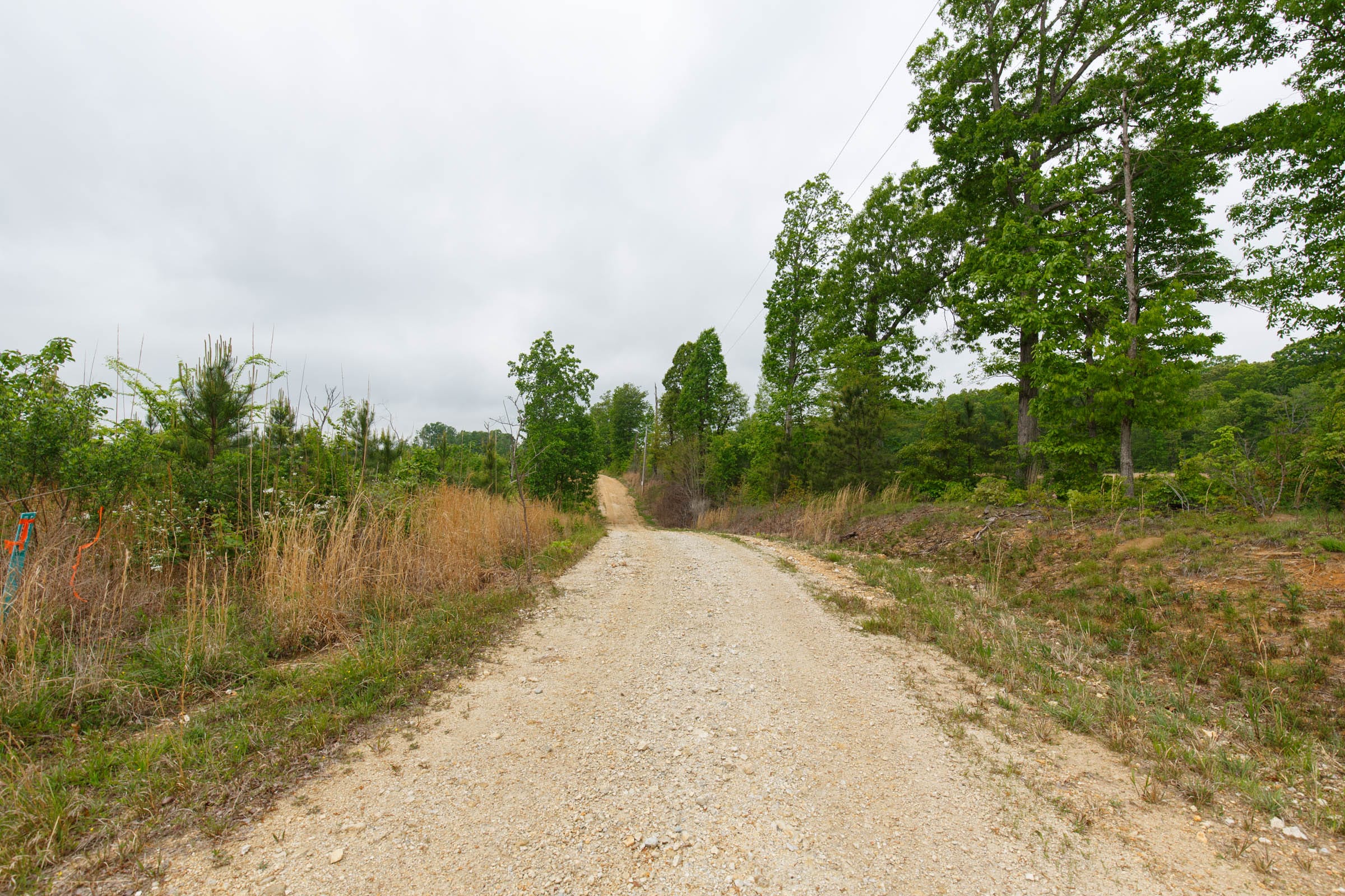 Red Barn Ranch Tract 8 photo 7
