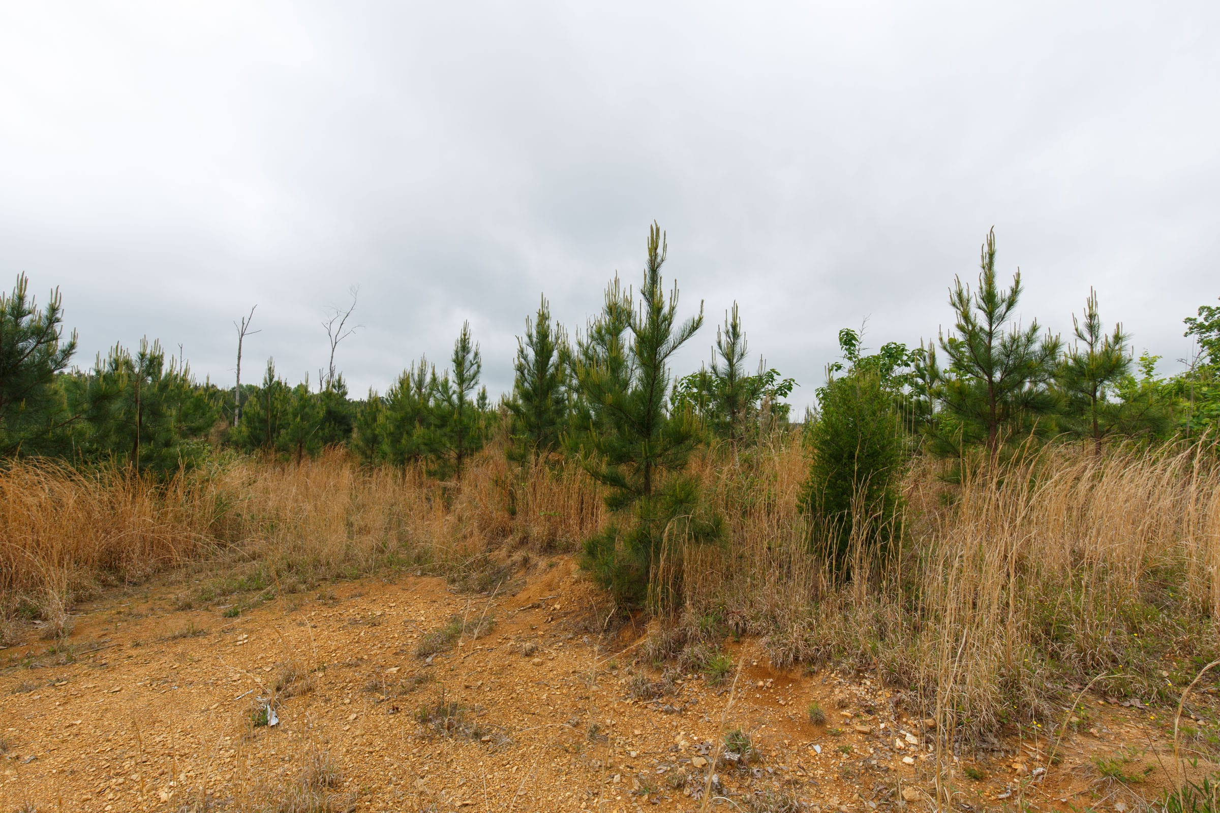 Red Barn Ranch Tract 8 photo 8