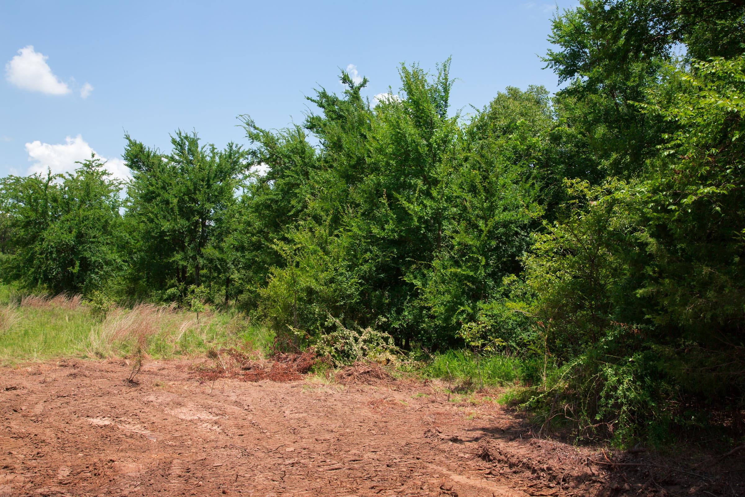Deep Fork Ranch Tract 22 photo 3