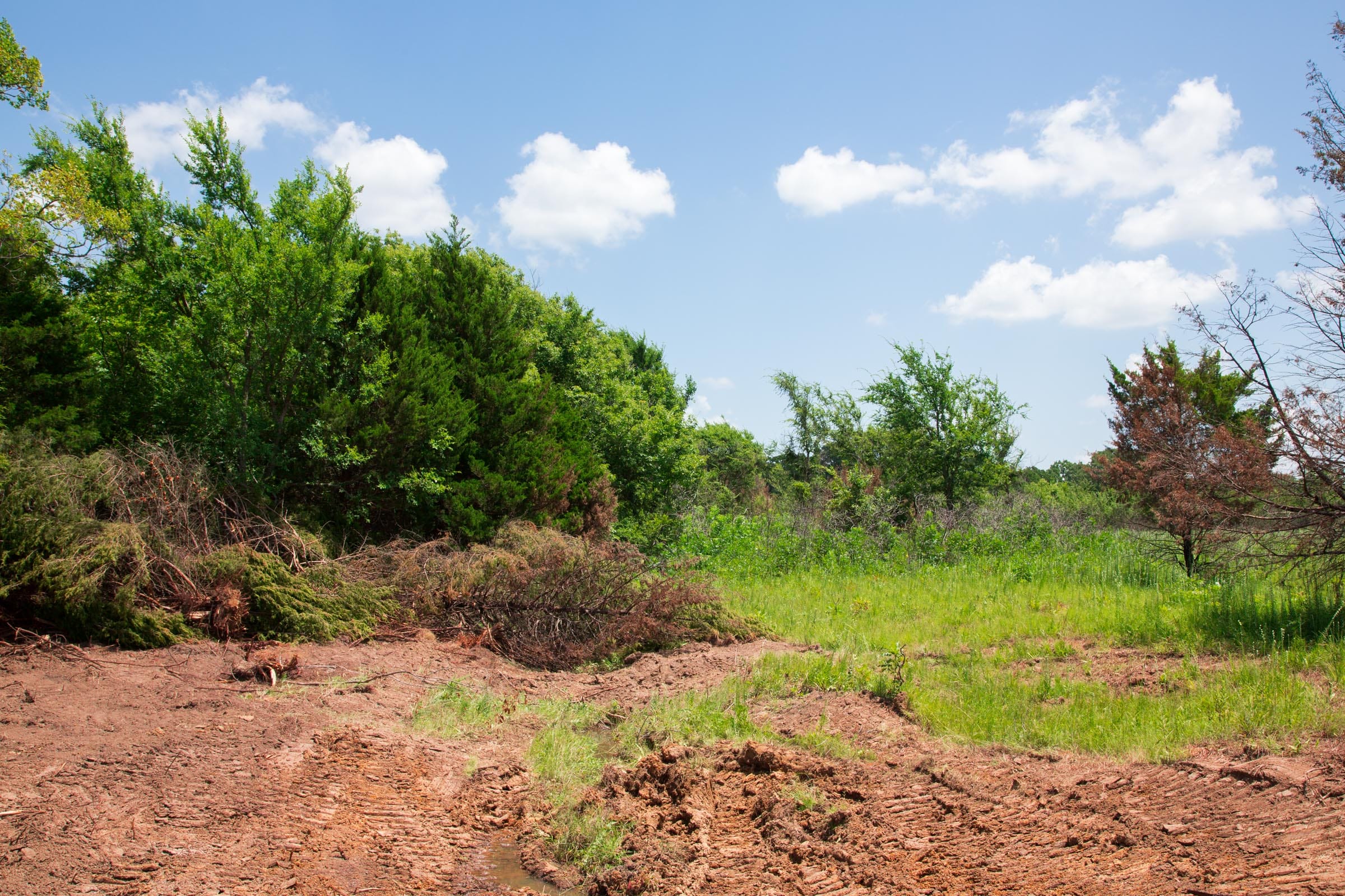 Deep Fork Ranch Tract 22 photo 4