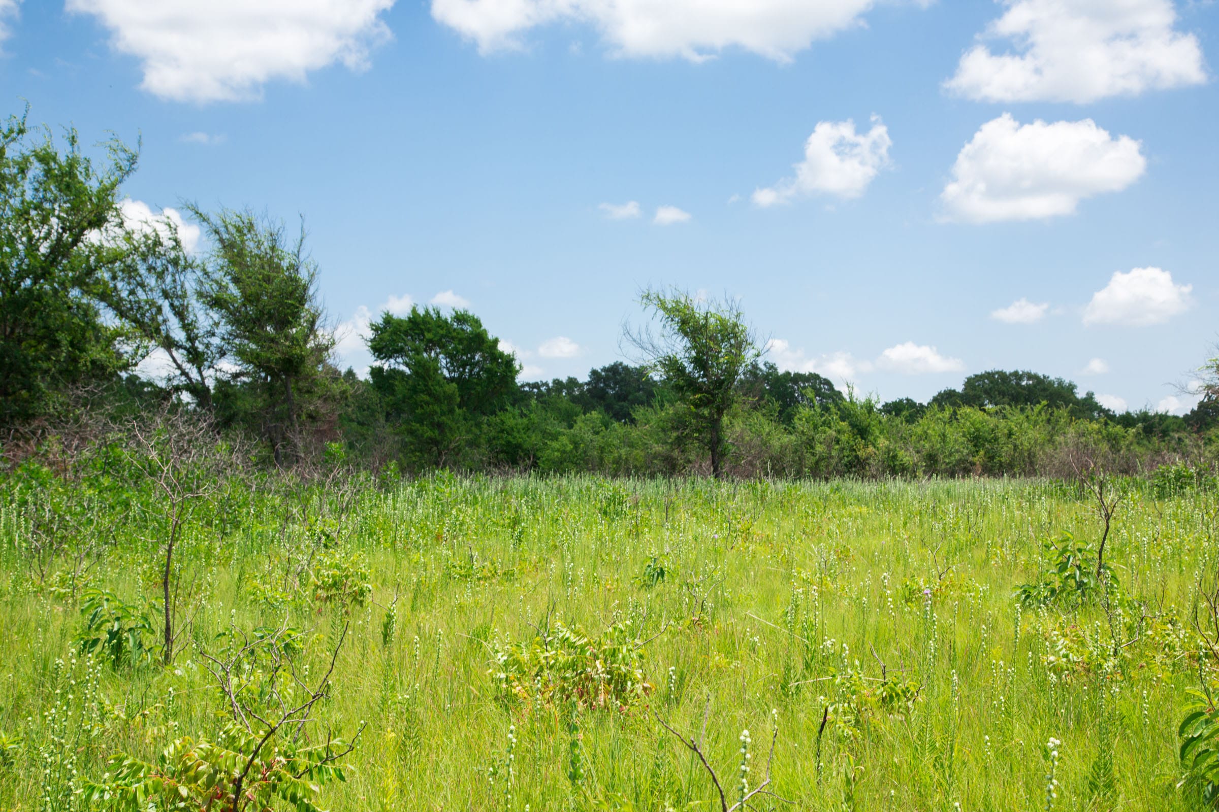 Deep Fork Ranch Tract 22 photo 6