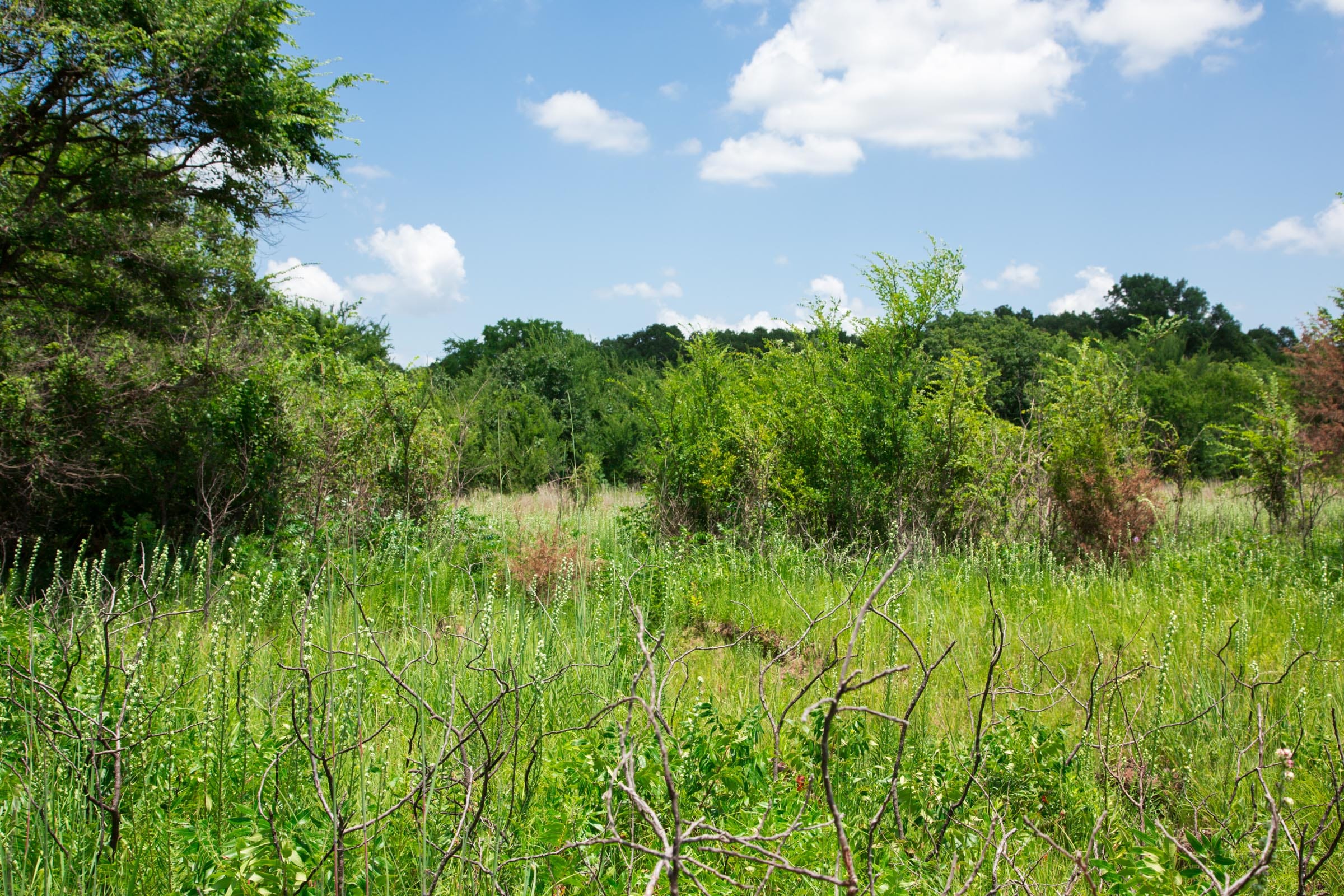 Deep Fork Ranch Tract 22 photo 8