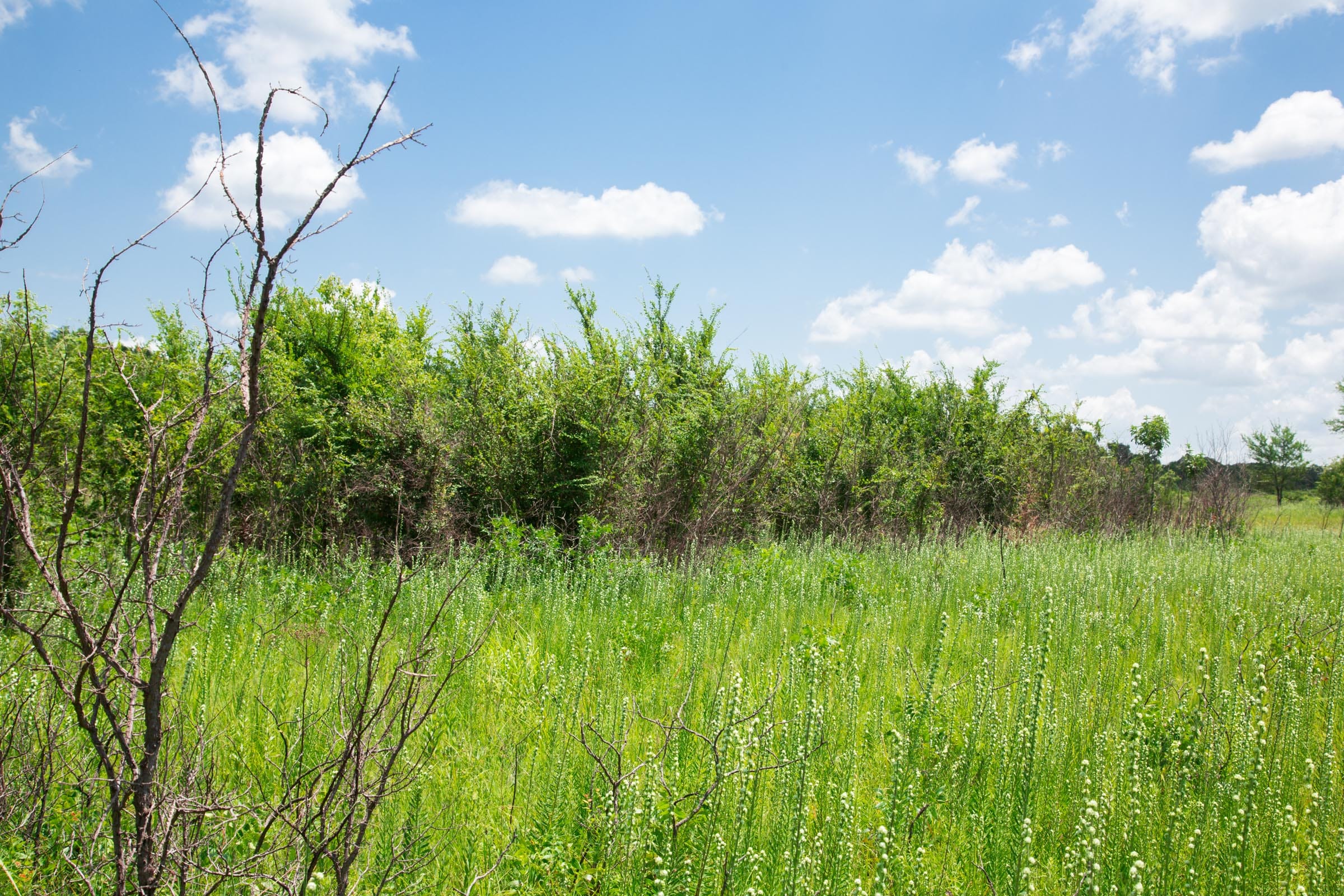 Deep Fork Ranch Tract 22 photo 9