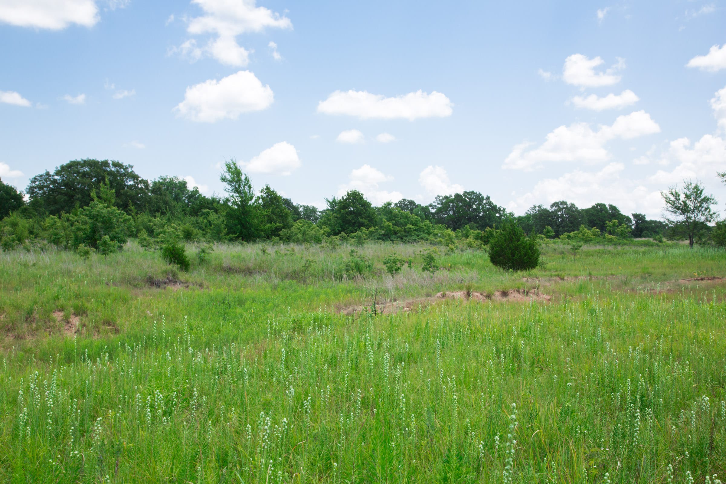 Deep Fork Ranch Tract 22 photo 11