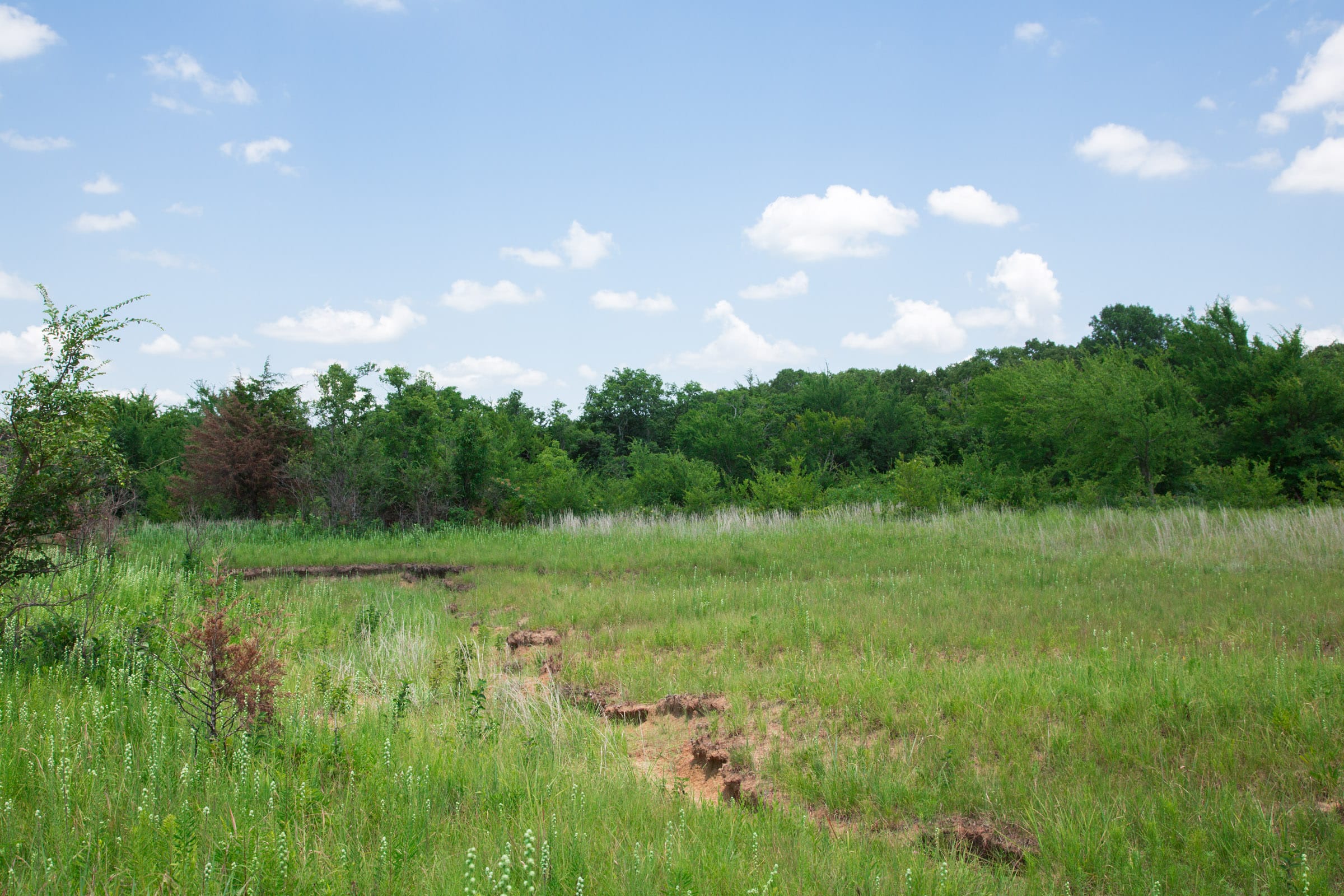 Deep Fork Ranch Tract 22 photo 12