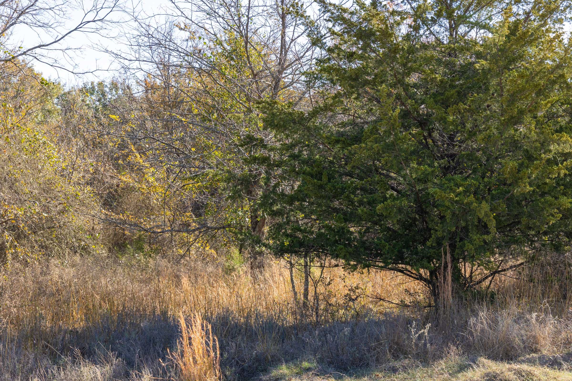 Harmony Hills Tract 40 photo 6