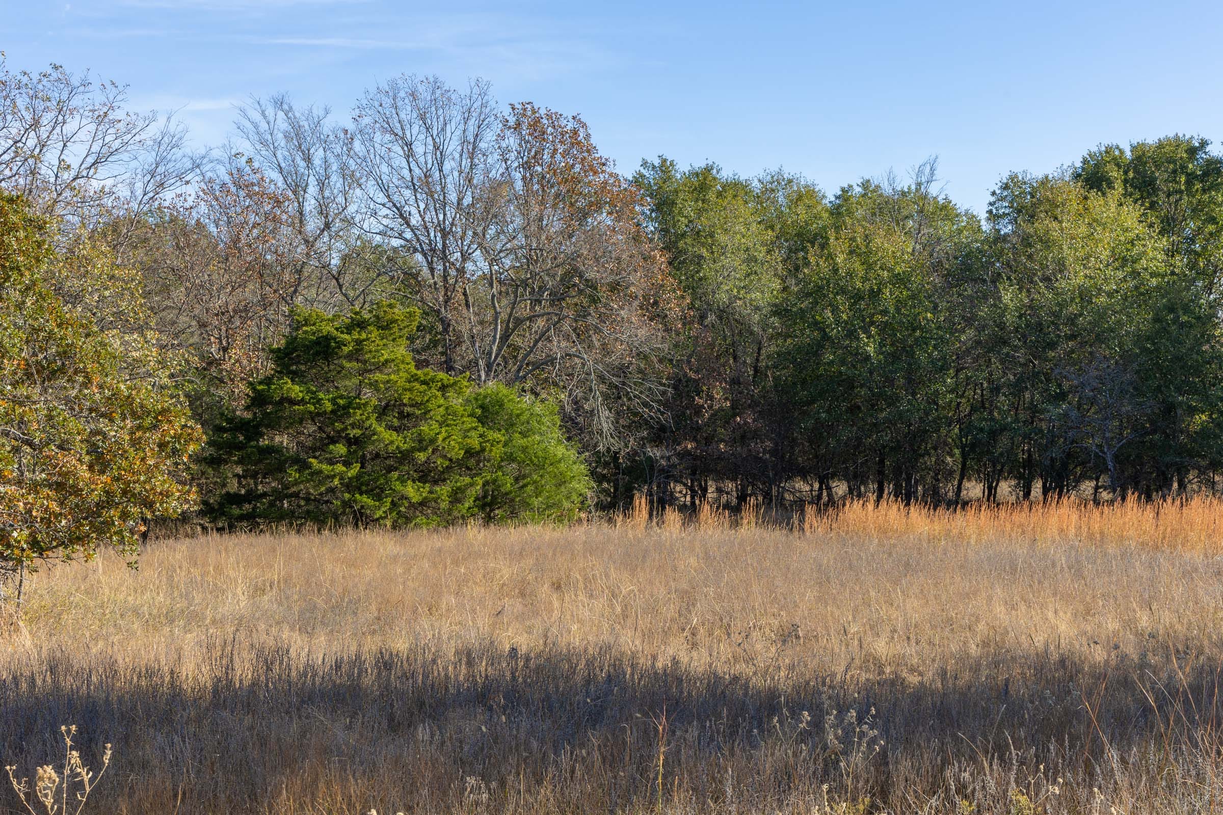 Harmony Hills Tract 40 photo 3