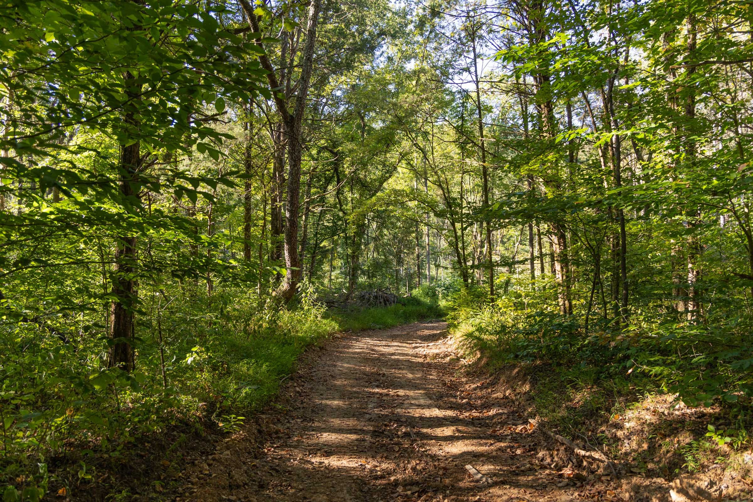 Big White Oak Tract 84 photo 13