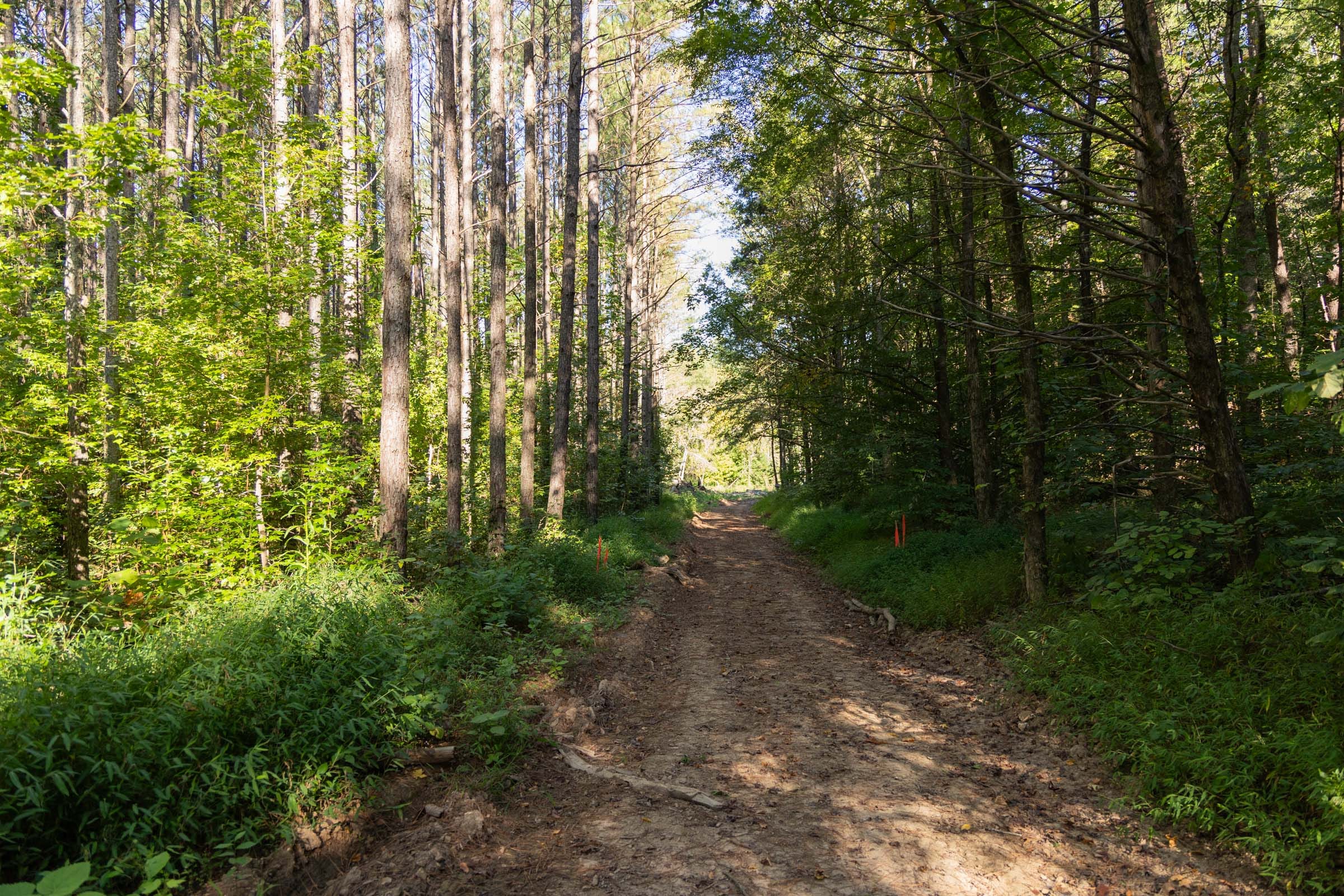 Big White Oak Tract 84 photo 8