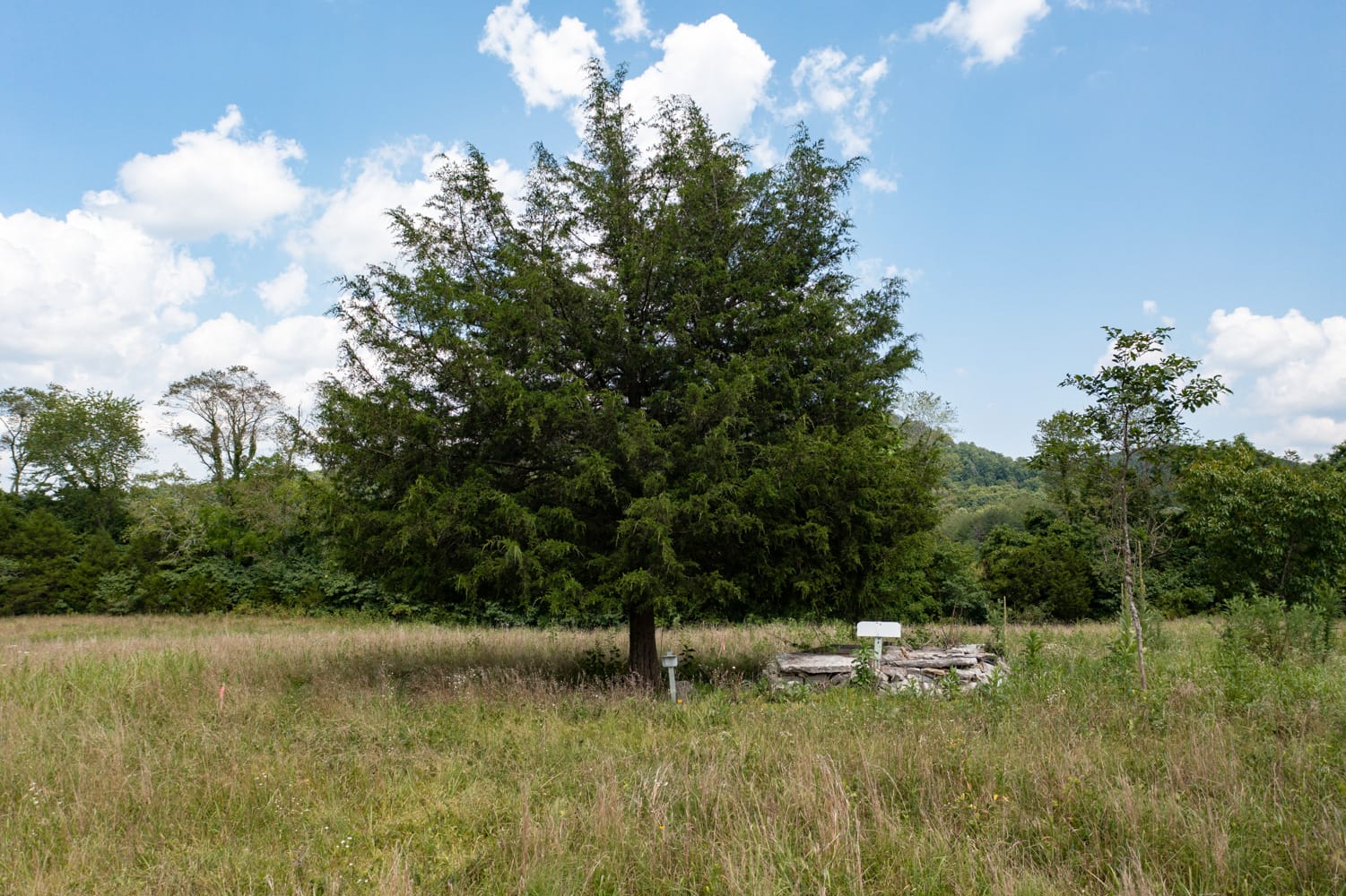 Rolling Hills Tract 21 photo 3