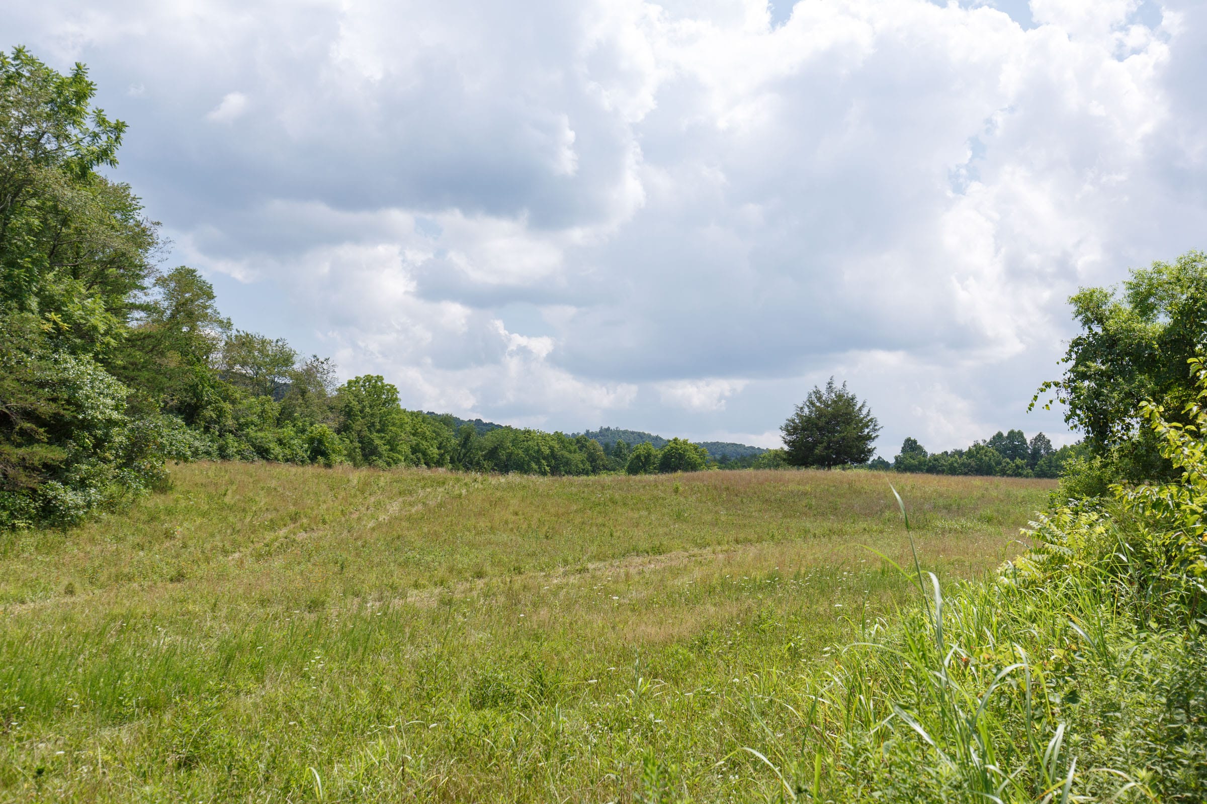 Rolling Hills Tract 21 photo 10