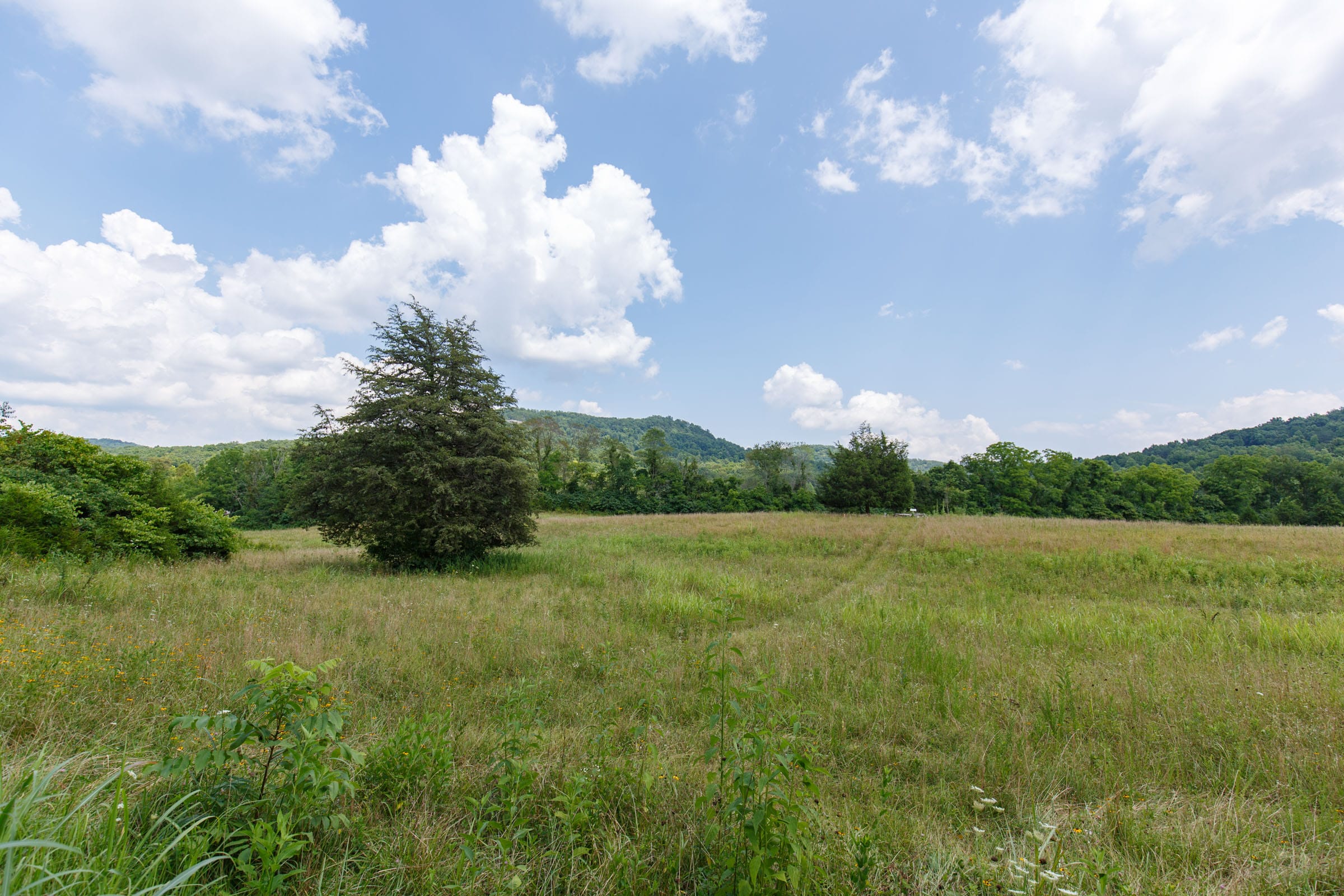 Rolling Hills Tract 21 photo 12
