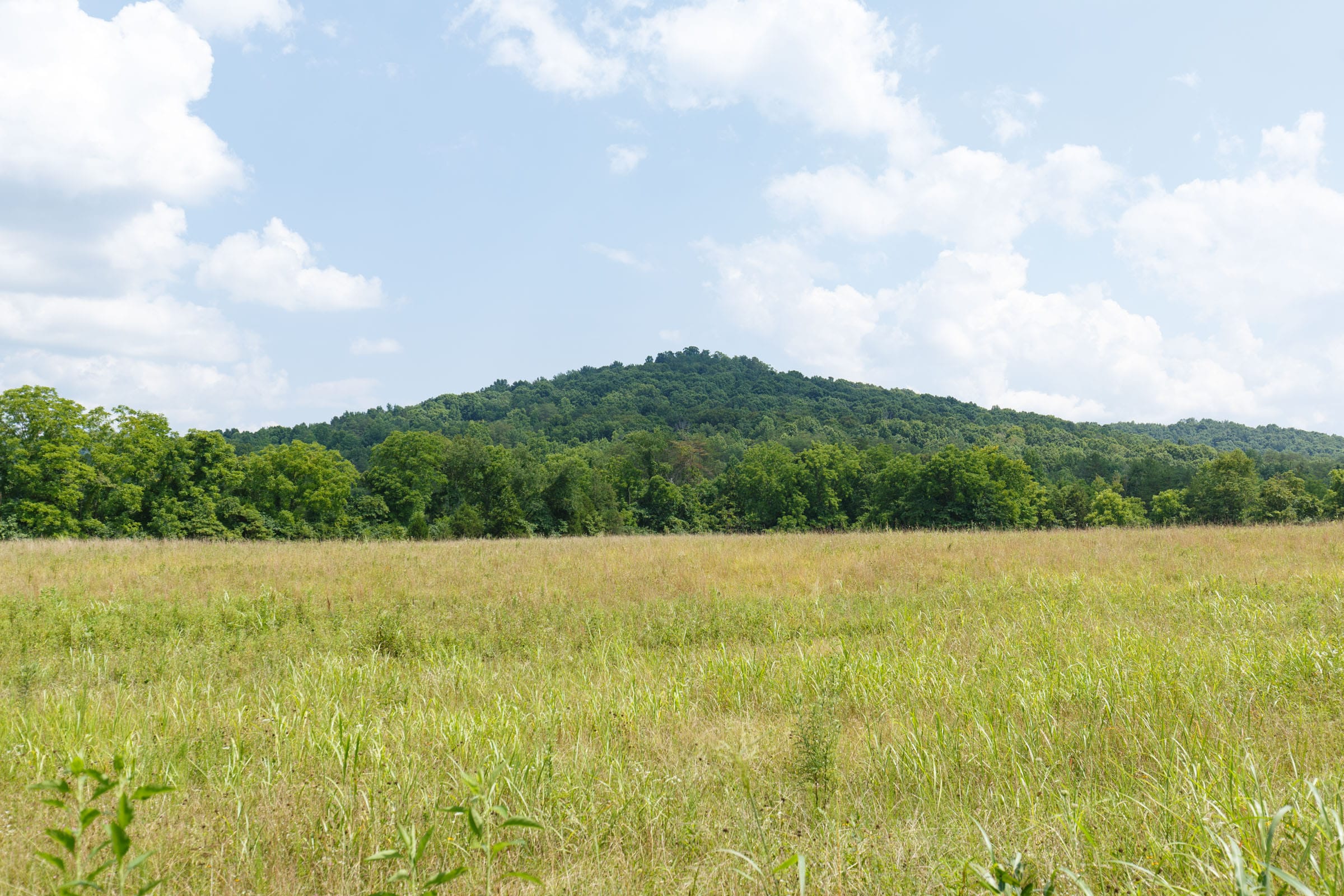 Rolling Hills Tract 21 photo 13