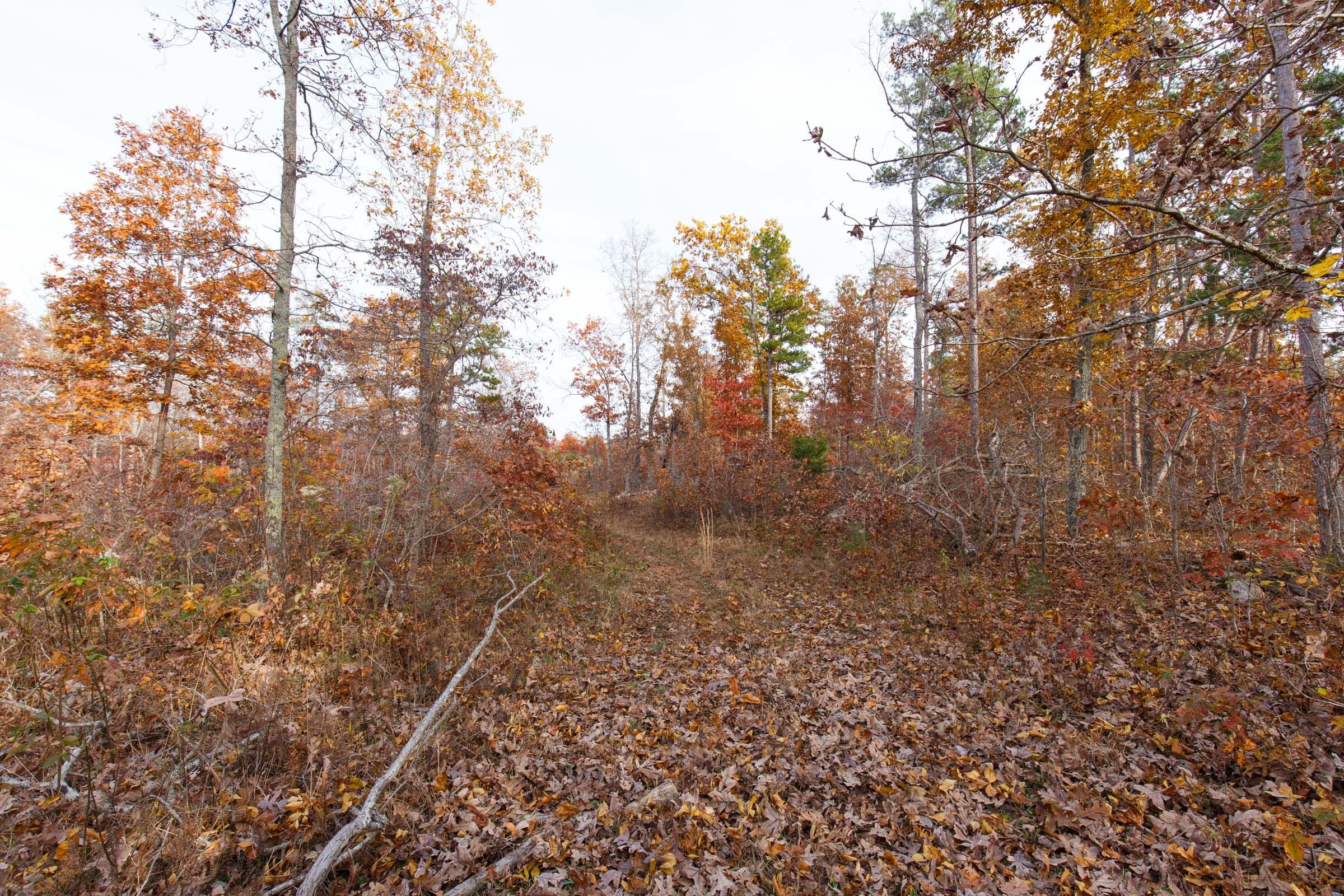 Hawkcrest Tract 31 photo 1