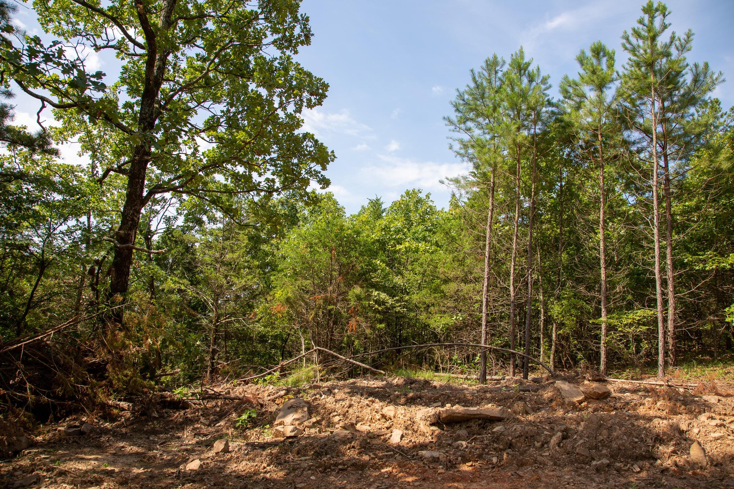 Tyler Stone Ranch Tract 54 photo 3