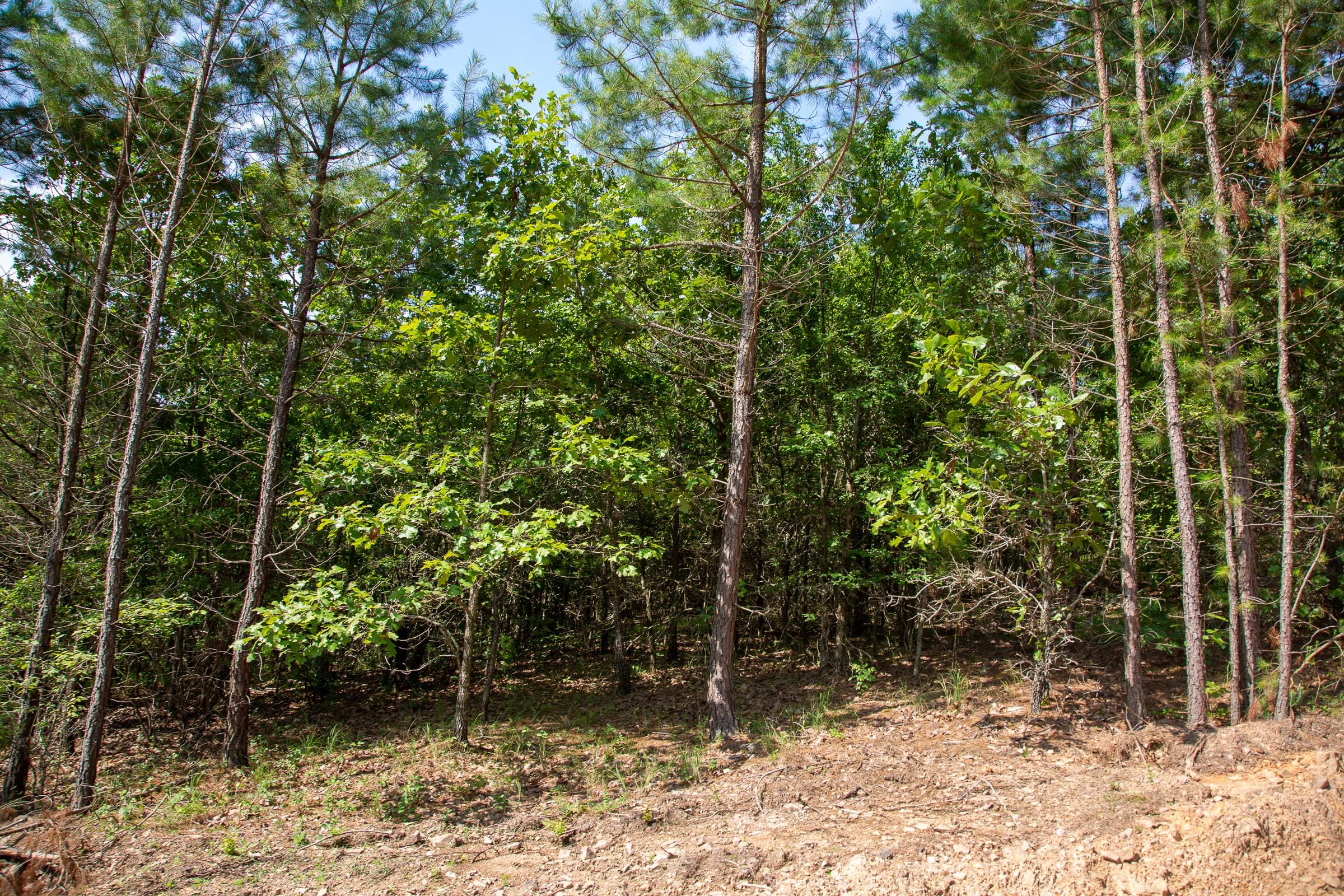 Tyler Stone Ranch Tract 54 photo 1