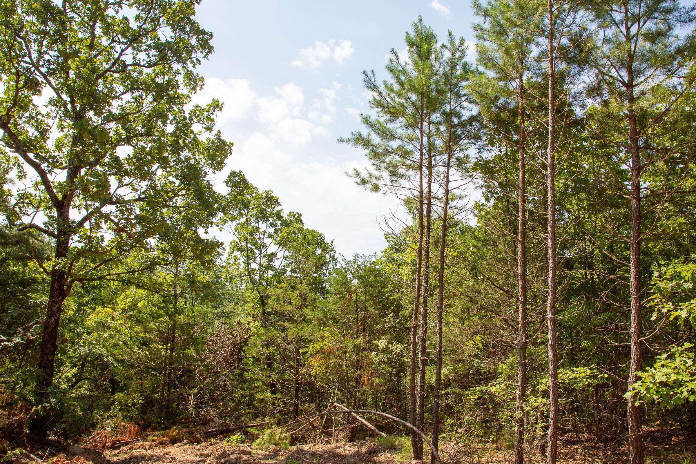 Tyler Stone Ranch Tract 54 photo 4