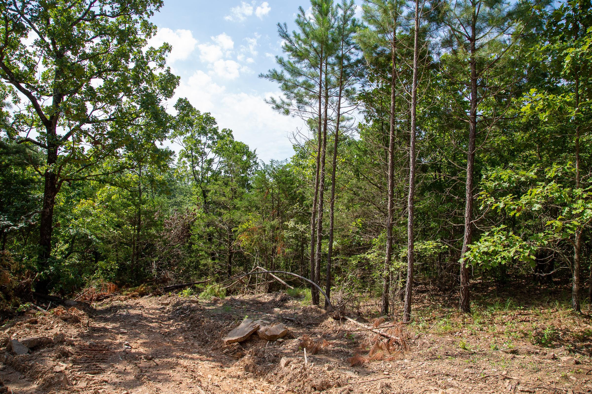 Tyler Stone Ranch Tract 54 photo 5