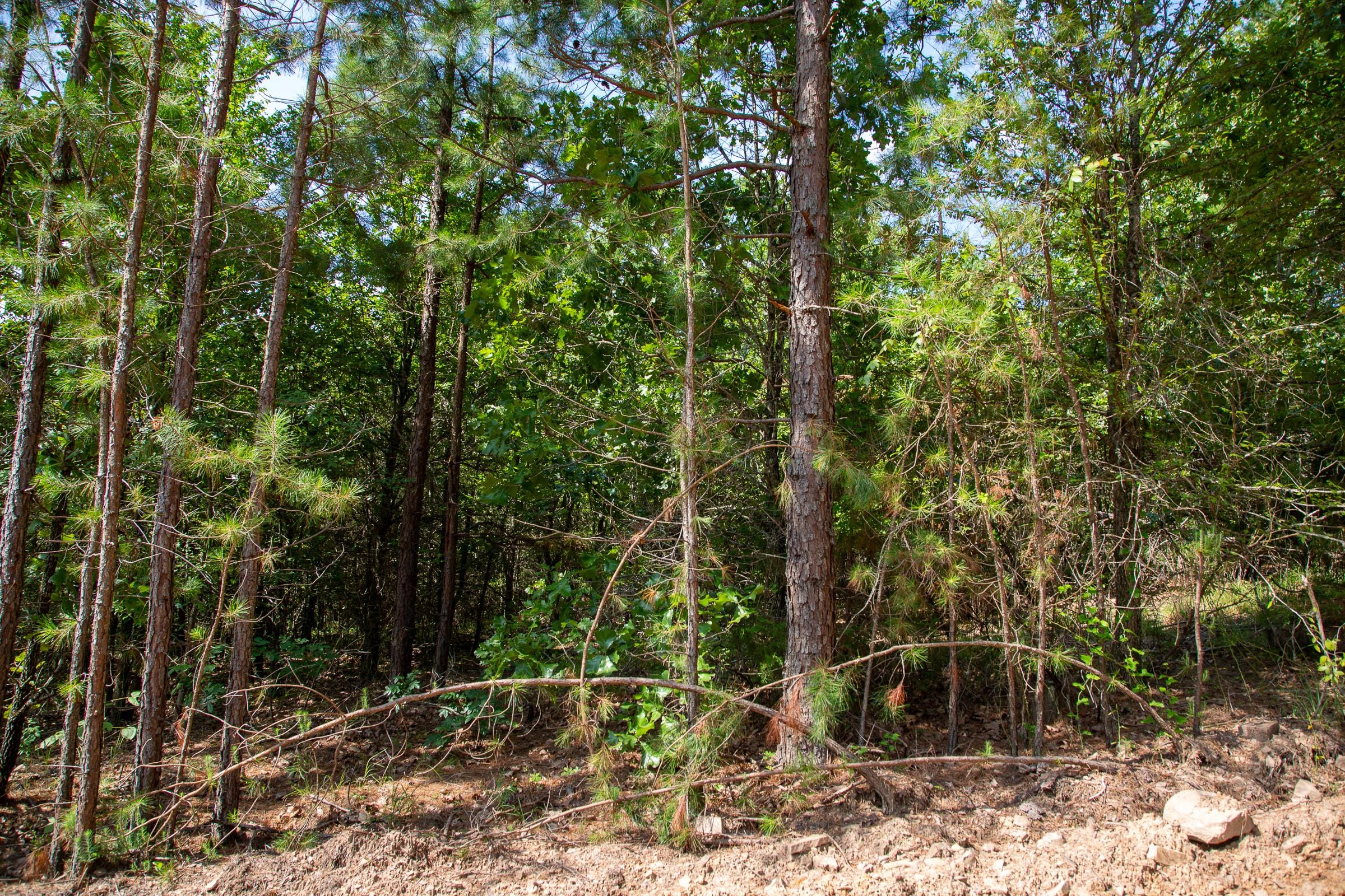 Tyler Stone Ranch Tract 54 photo 6