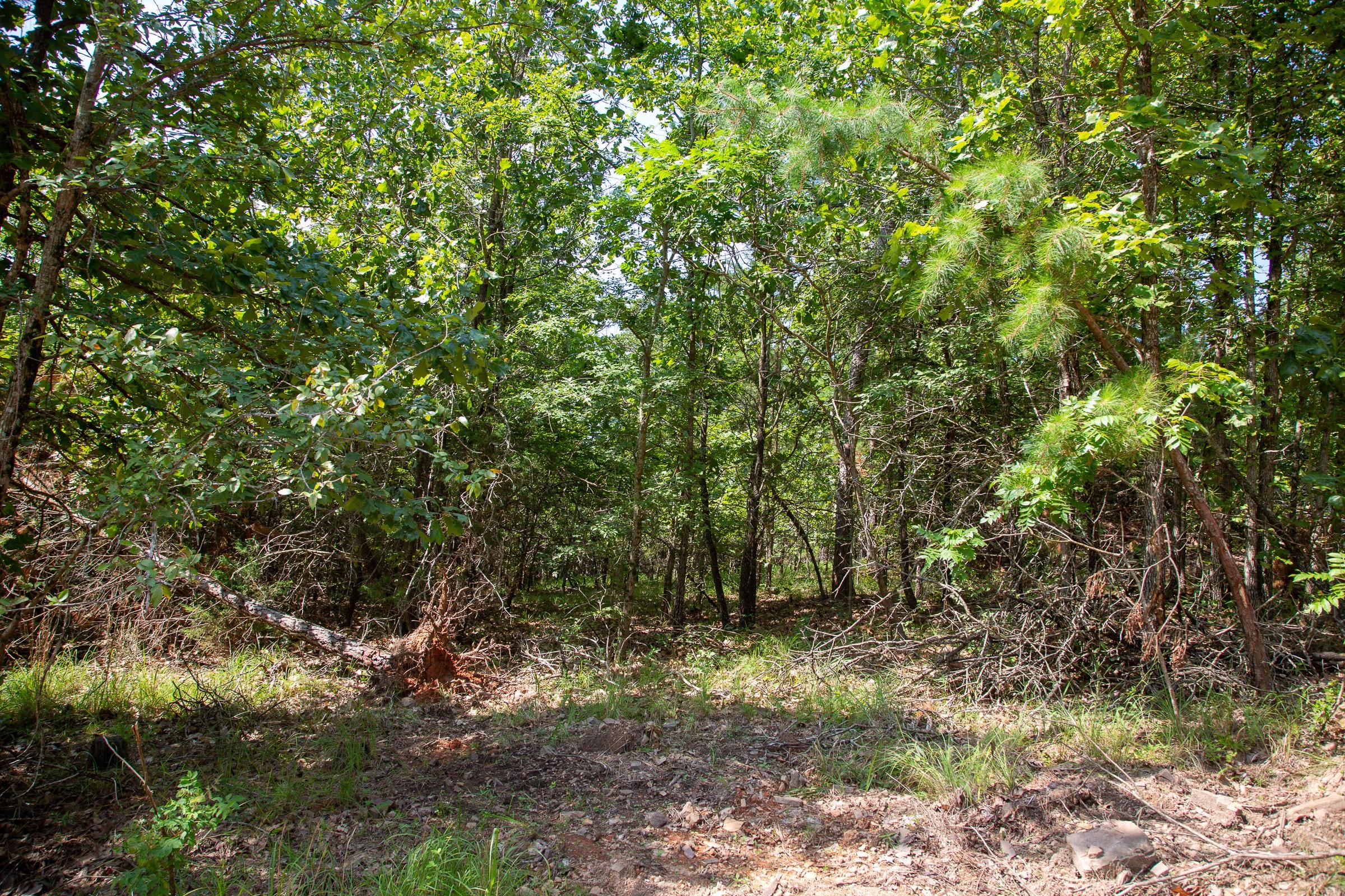 Tyler Stone Ranch Tract 54 photo 7