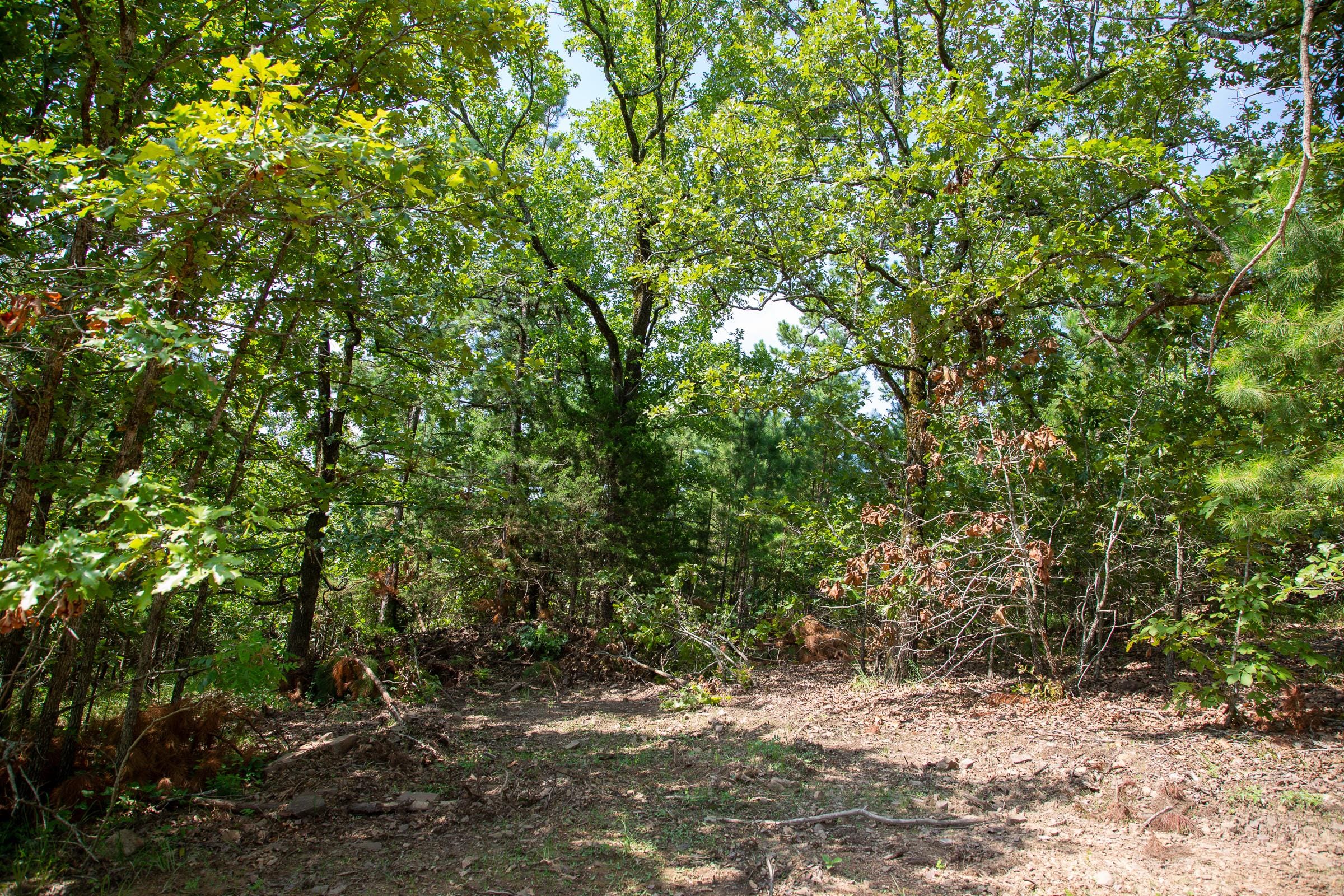 Tyler Stone Ranch Tract 54 photo 8
