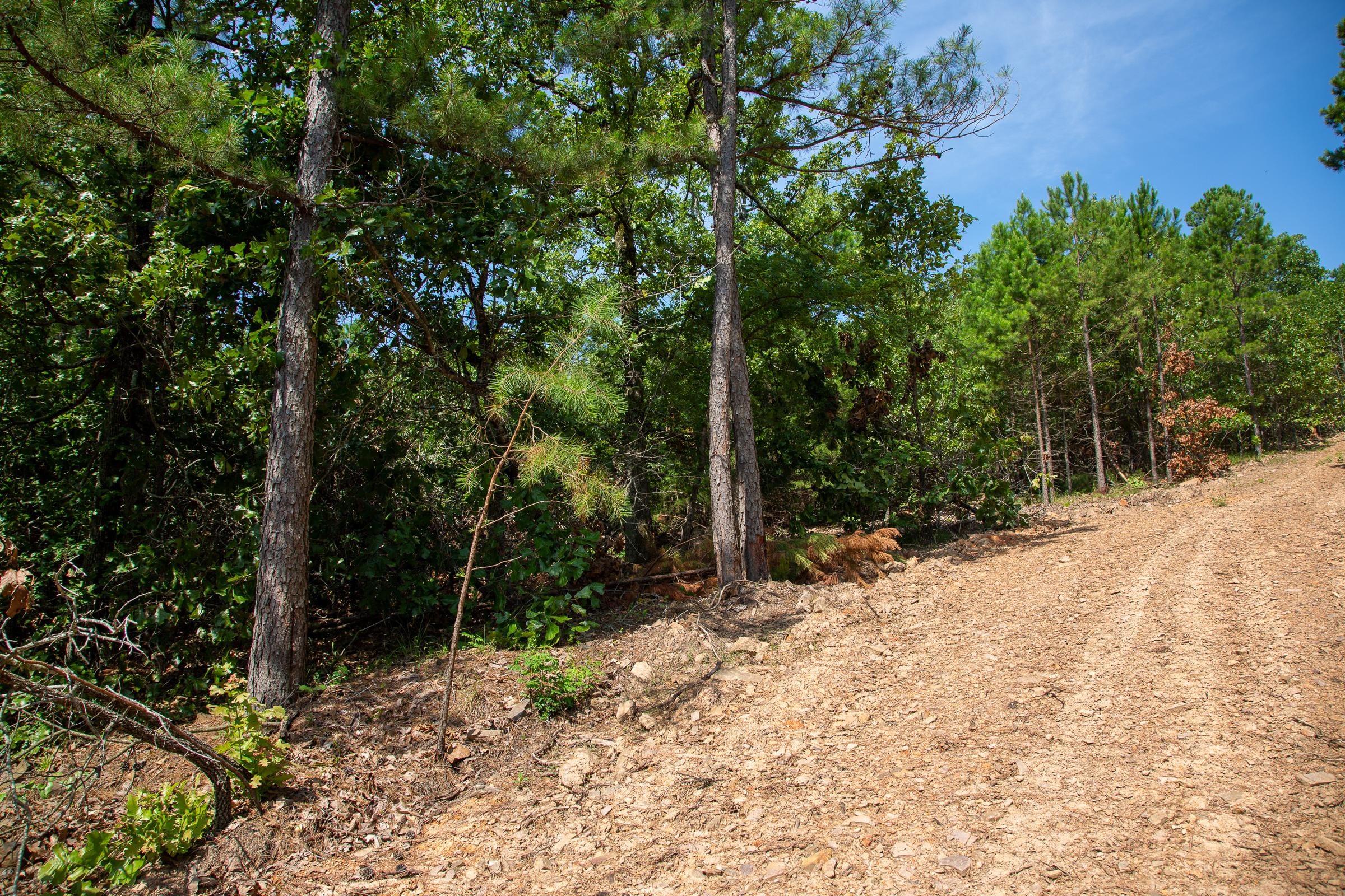Tyler Stone Ranch Tract 54 photo 9