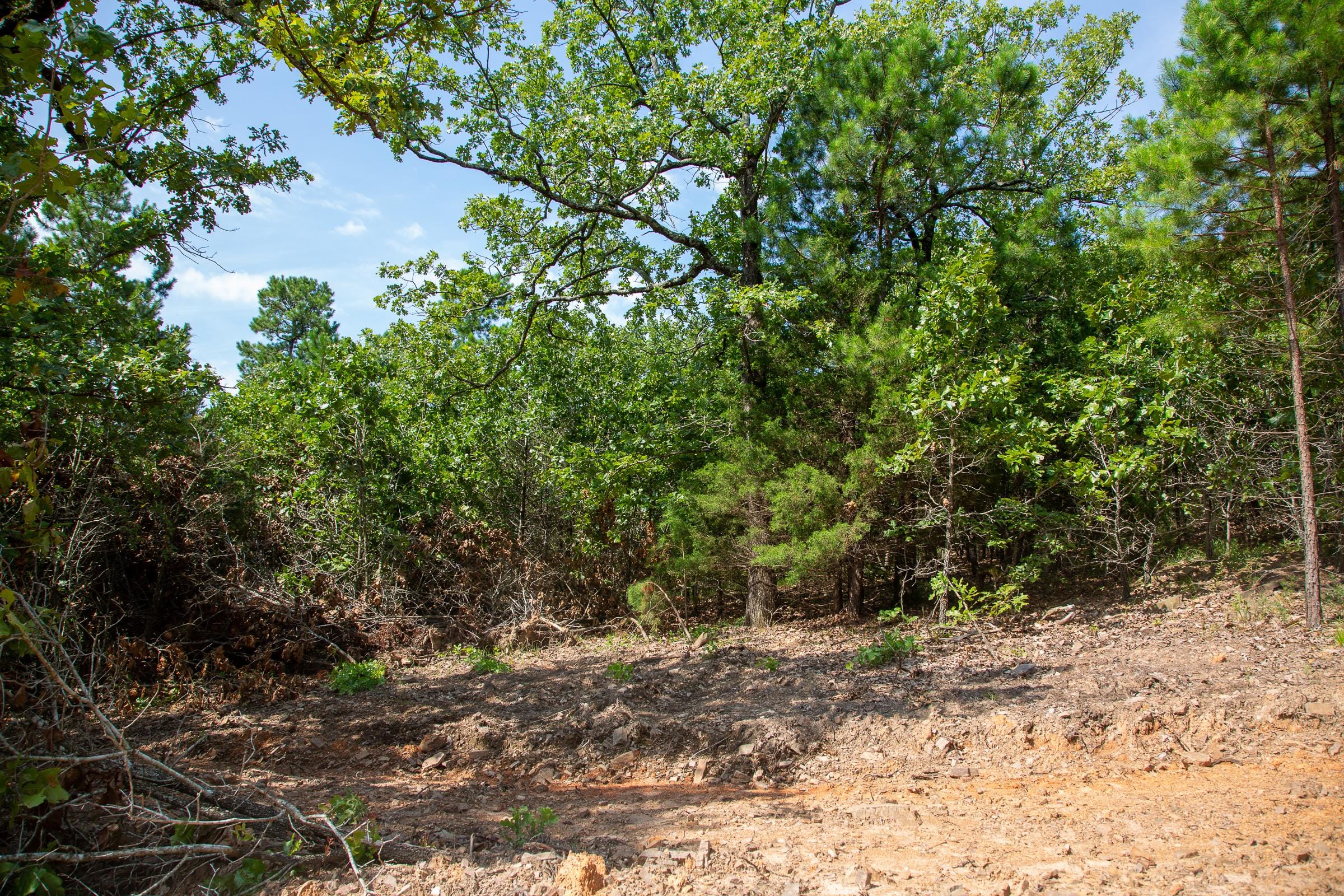 Tyler Stone Ranch Tract 54 photo 10