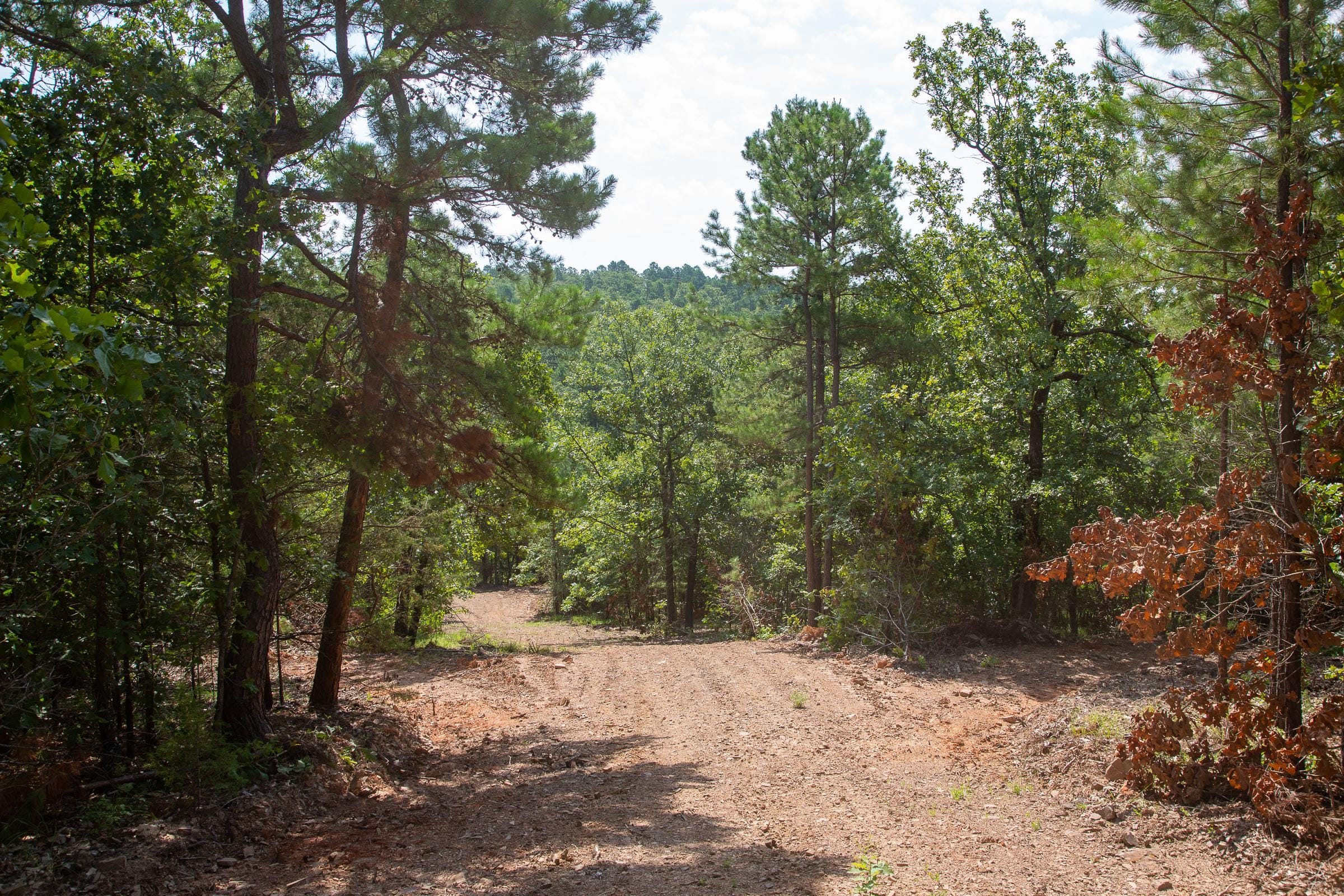 Tyler Stone Ranch Tract 54 photo 11