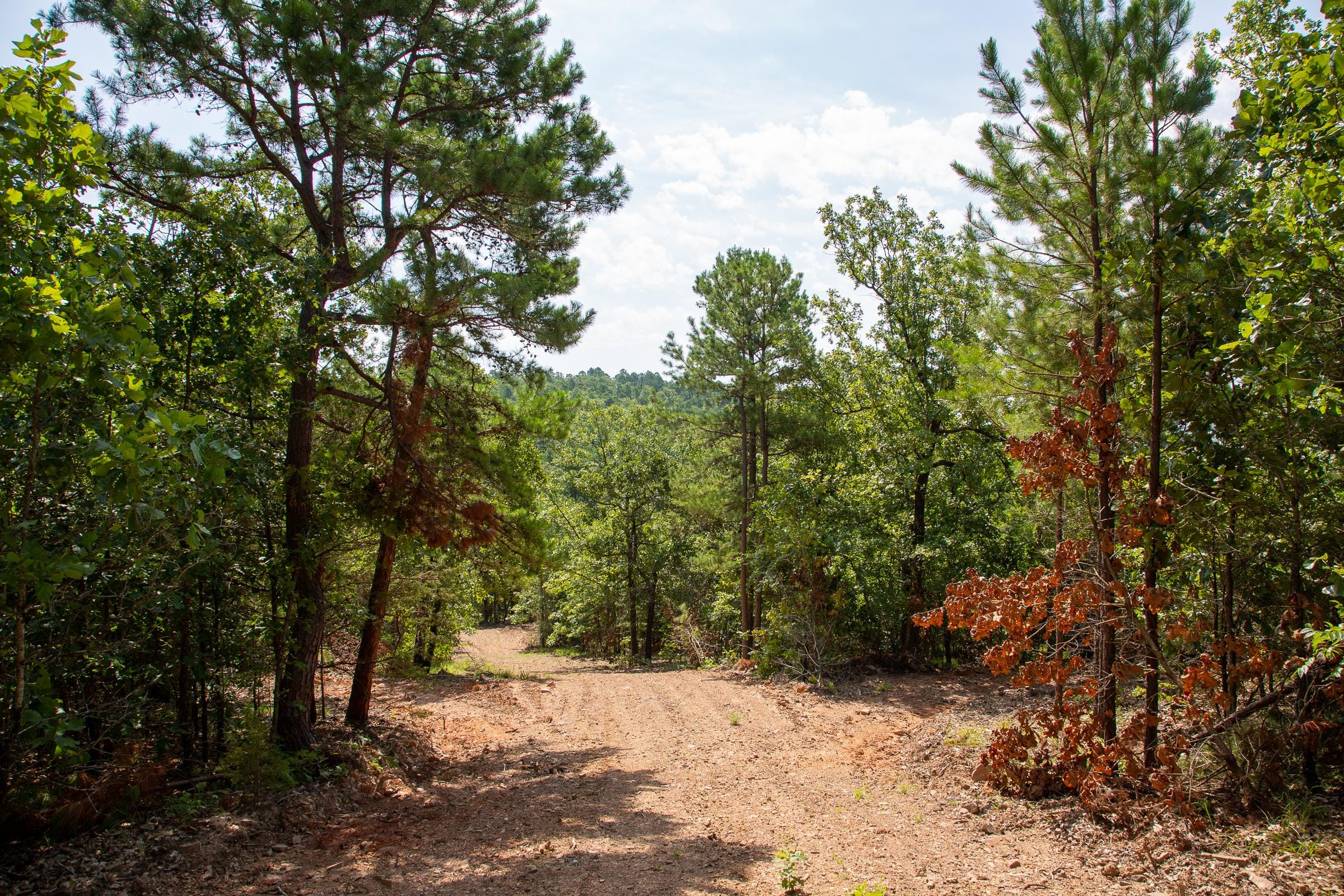 Tyler Stone Ranch Tract 54 photo 12