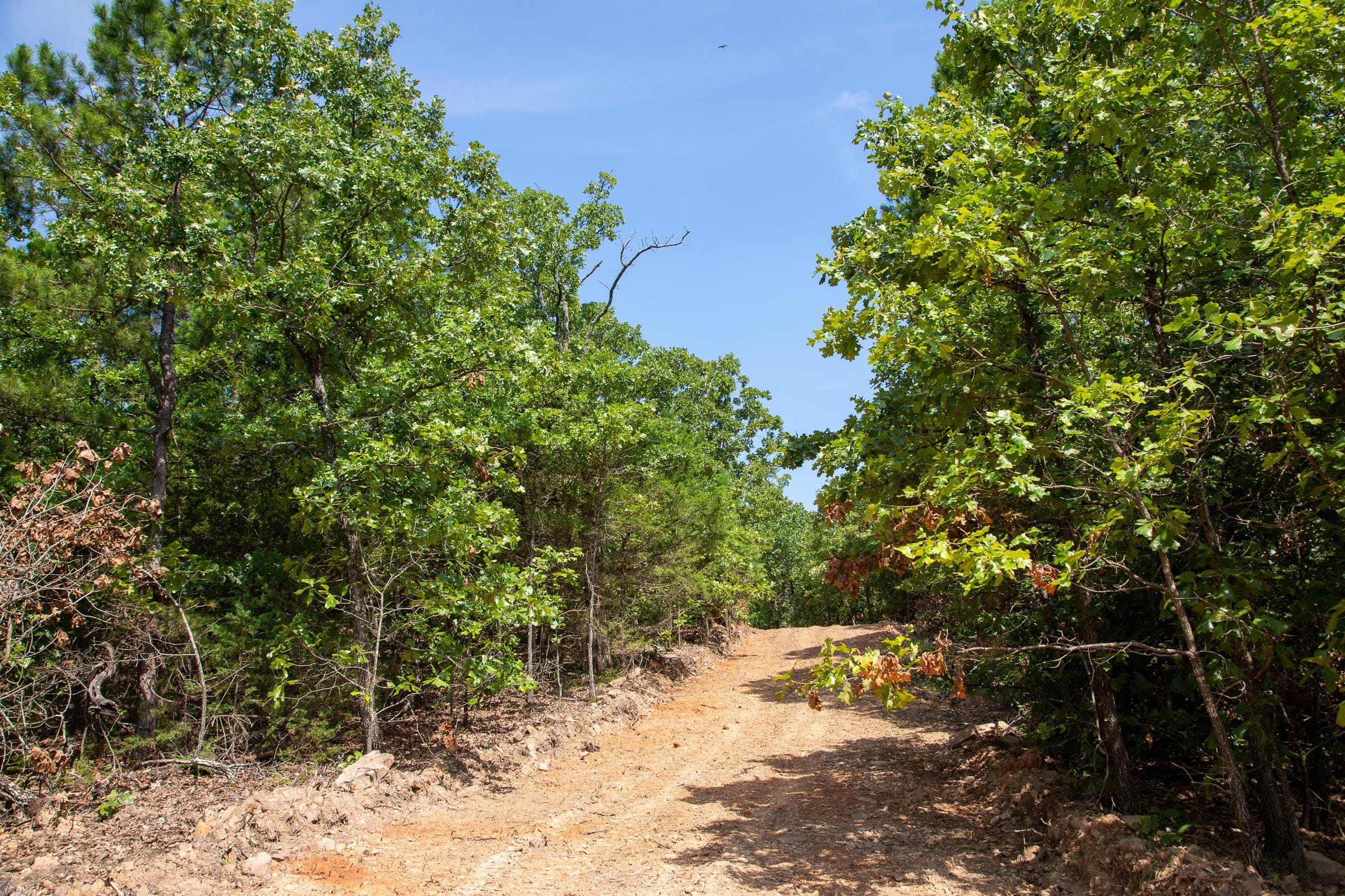 Tyler Stone Ranch Tract 54 photo 13