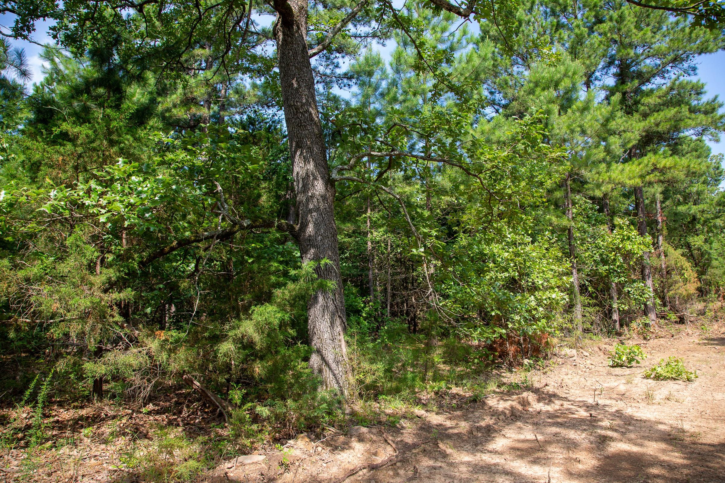 Tyler Stone Ranch Tract 54 photo 15