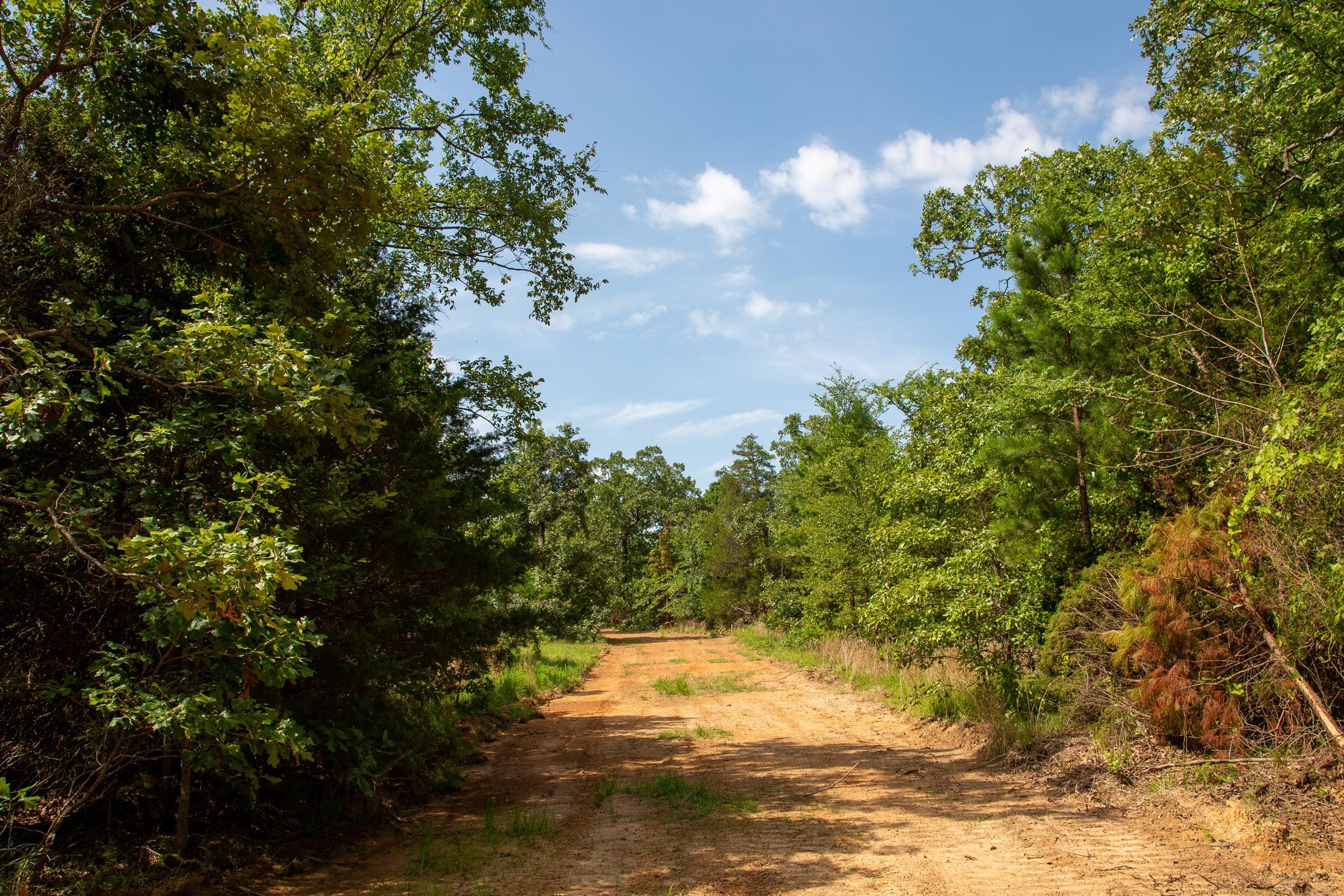 Tyler Stone Ranch Tract 54 photo 16