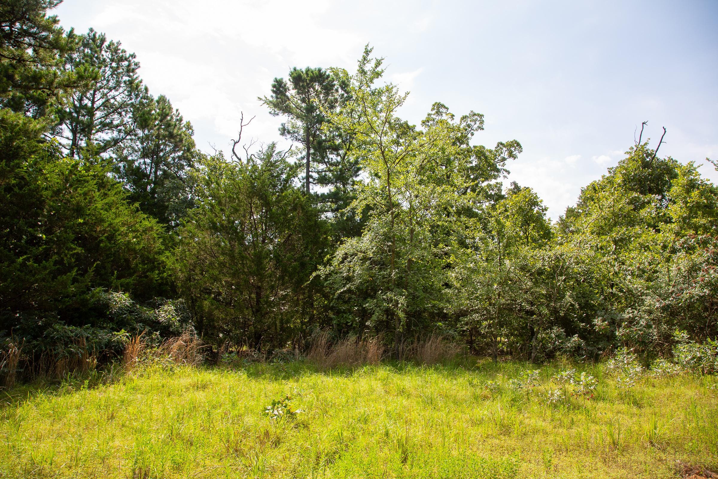 Tyler Stone Ranch Tract 54 photo 18