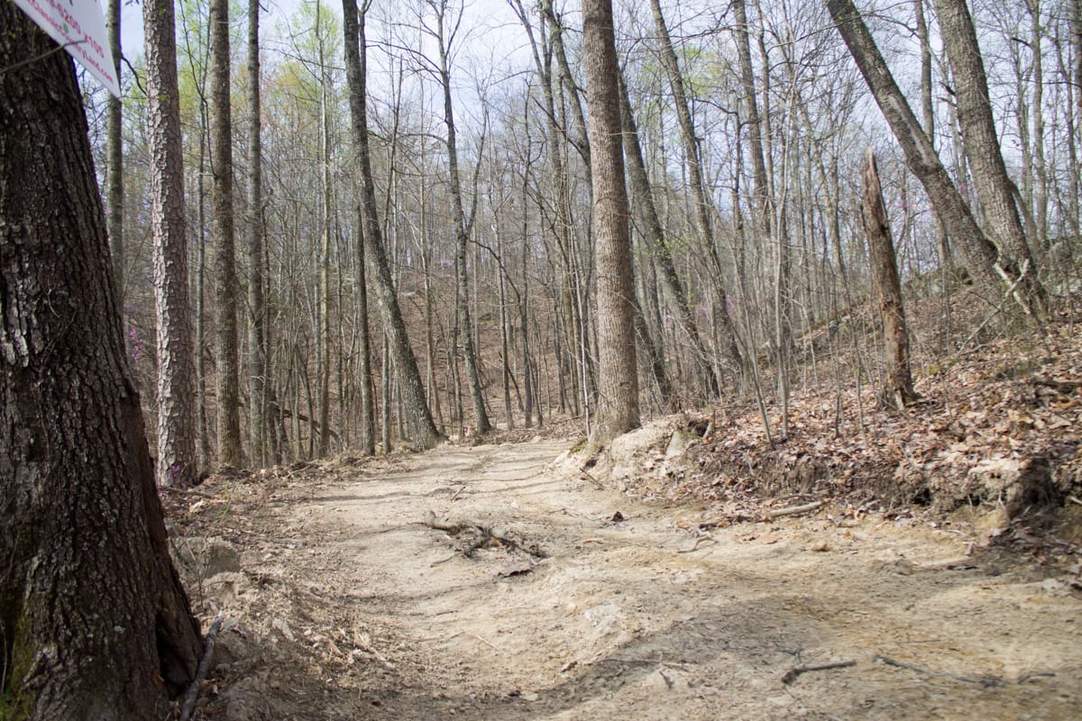 Chestnut Oak Ridge Tract 14 photo 1