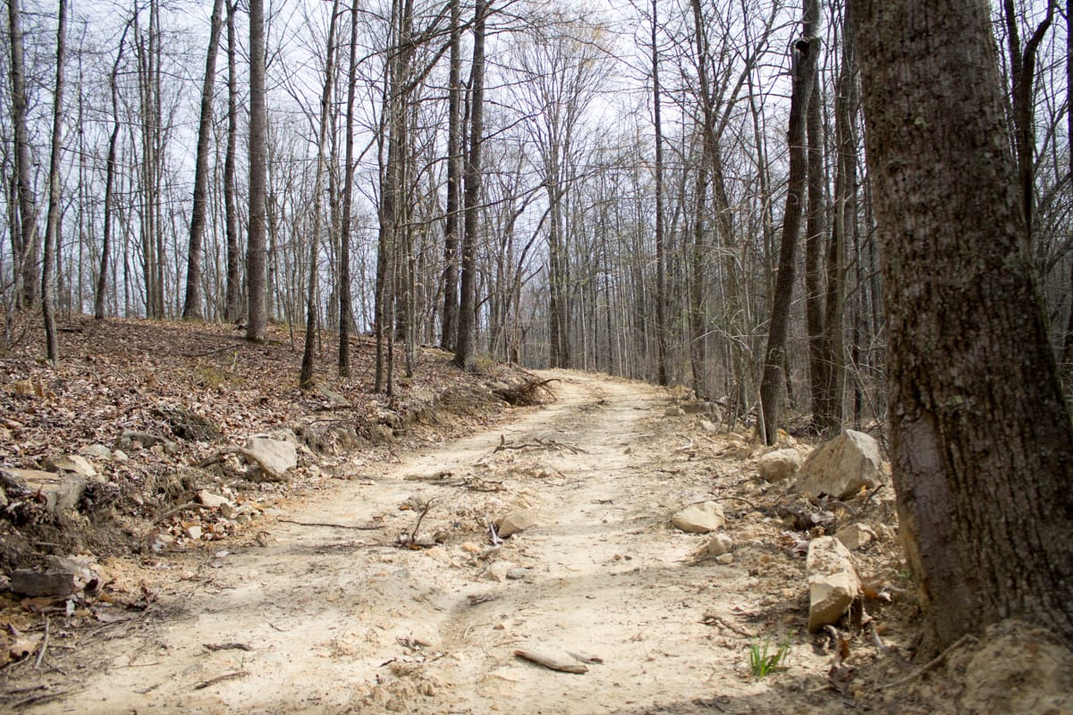 Chestnut Oak Ridge Tract 14 photo 8