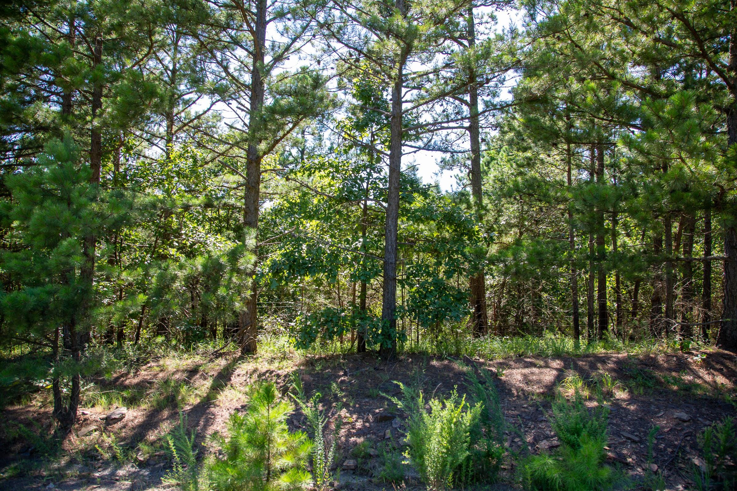 Tyler Stone Ranch Tract 7 photo 2