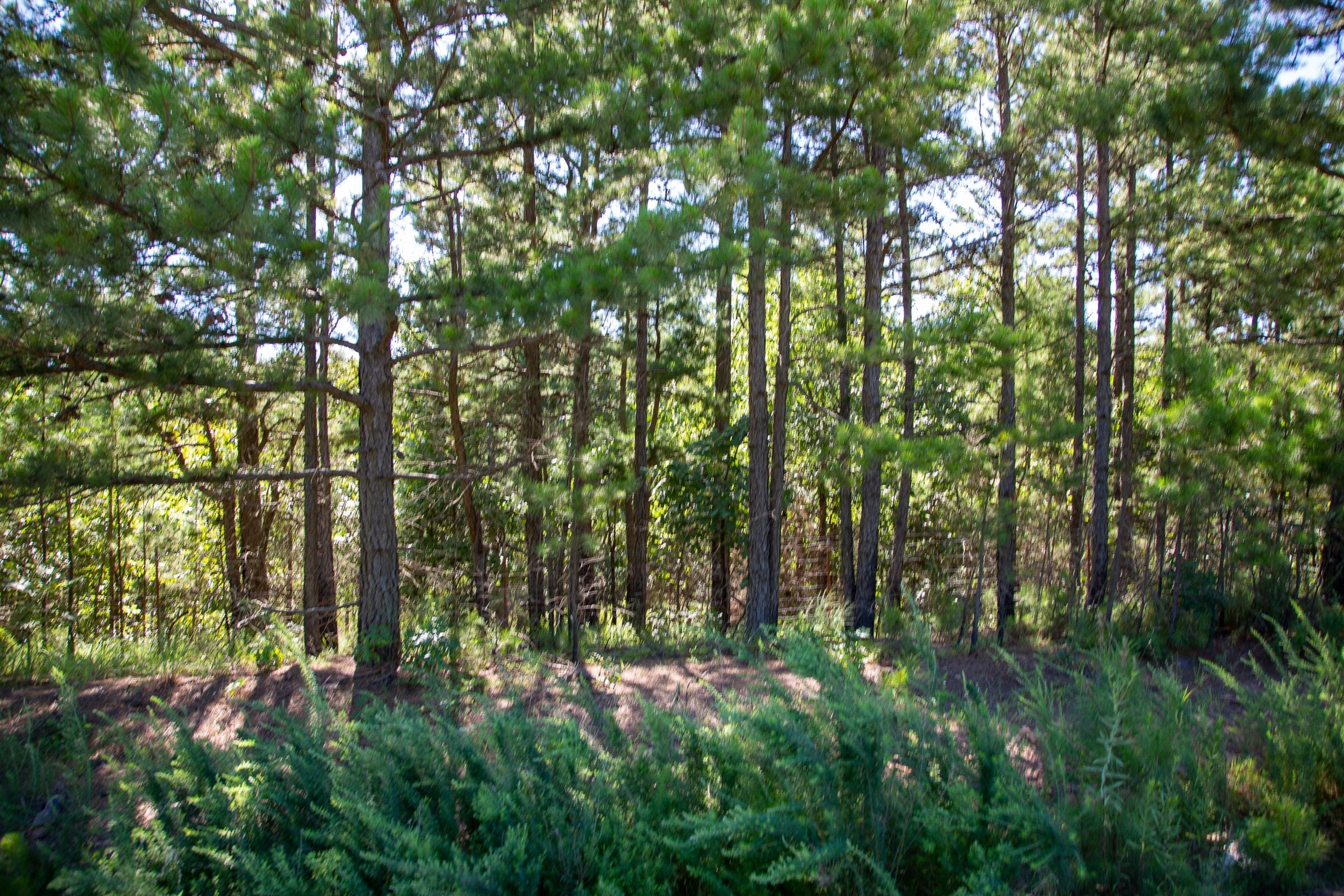 Tyler Stone Ranch Tract 7 photo 3
