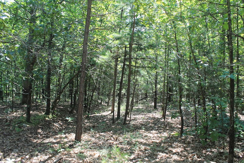 Barnes Hollow Tract 7 photo 3