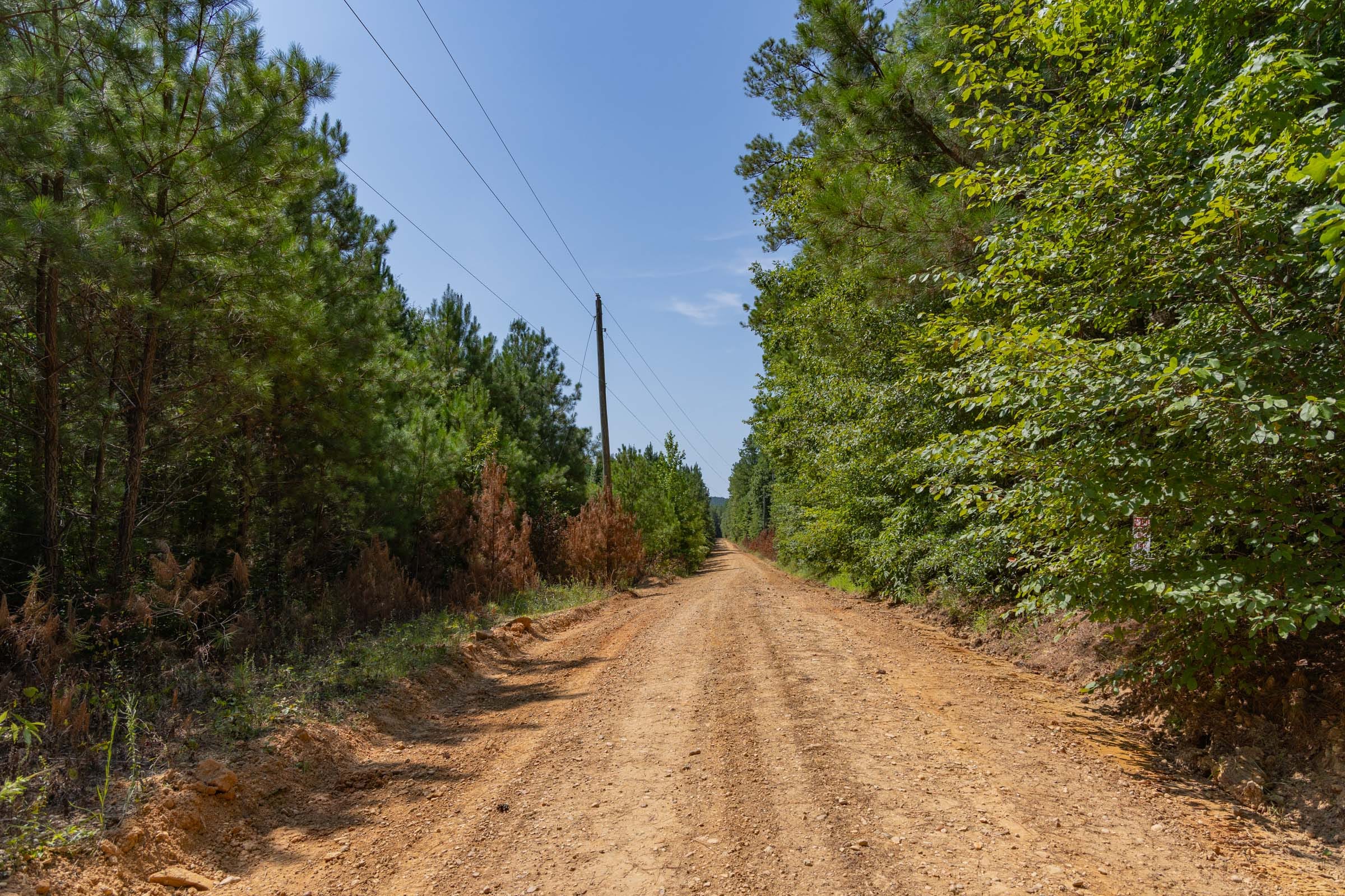 Olive Hill Tract 10 photo 3