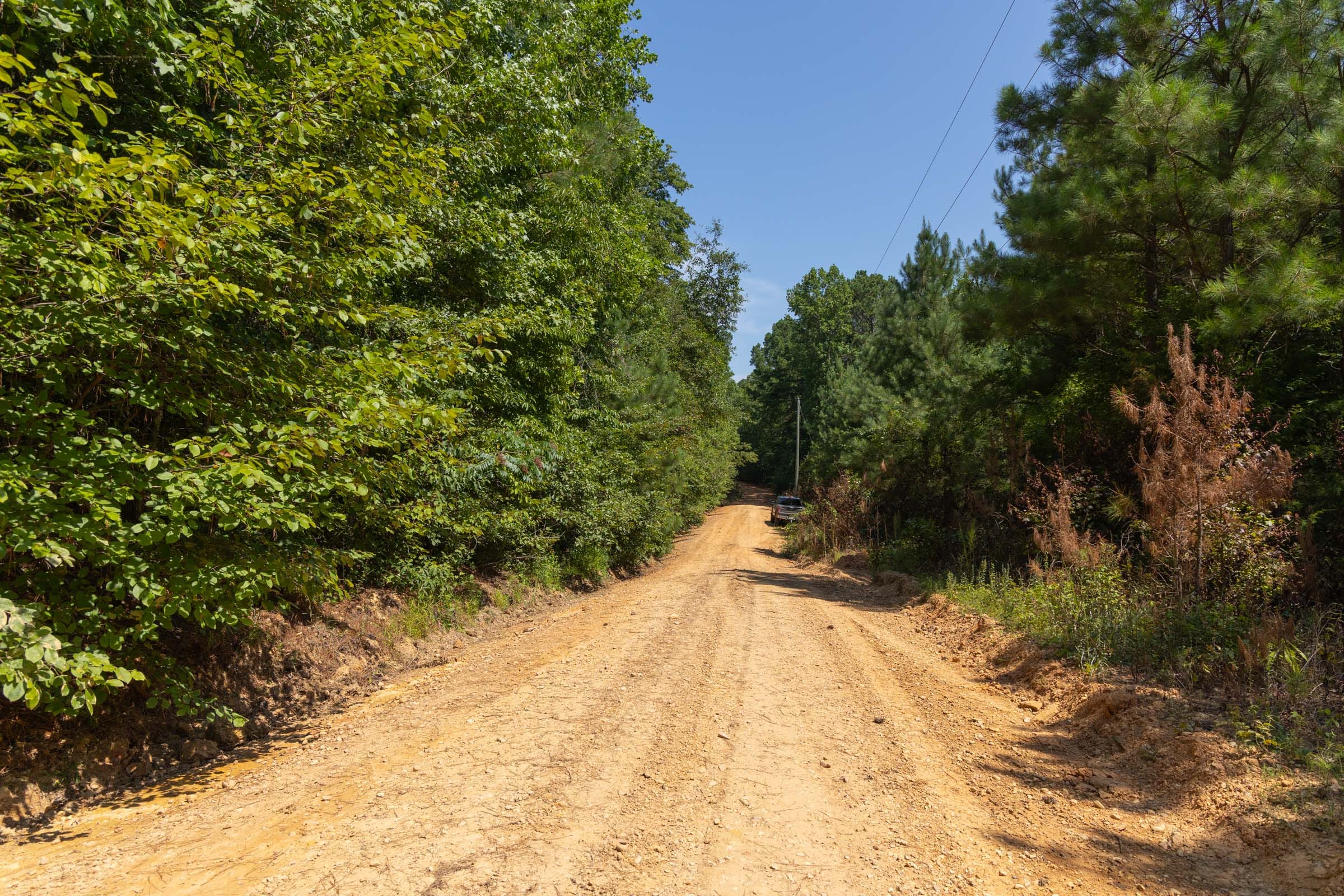 Olive Hill Tract 10 photo 6