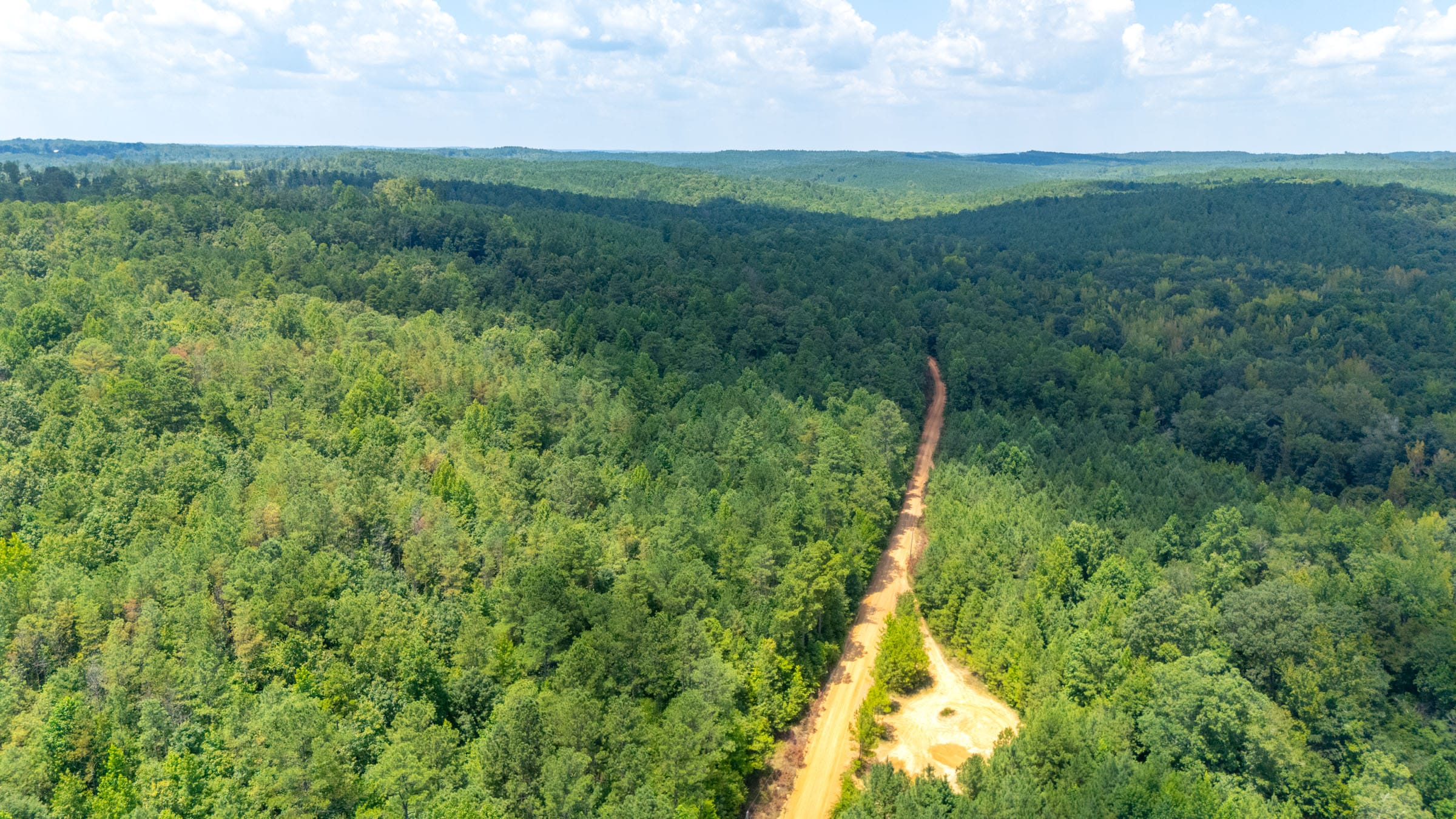 Olive Hill Tract 10 photo 2